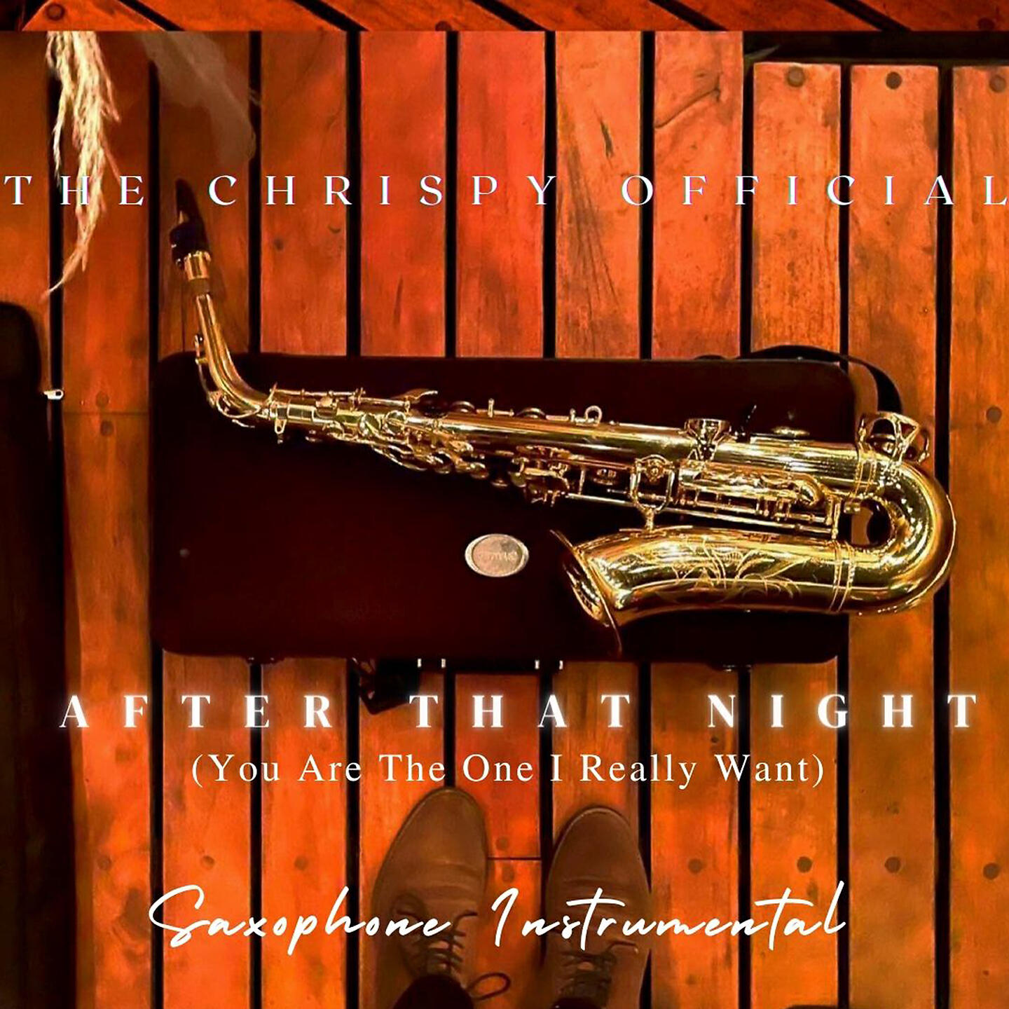 Релиз After That Night (You Are The One I Realy Want)