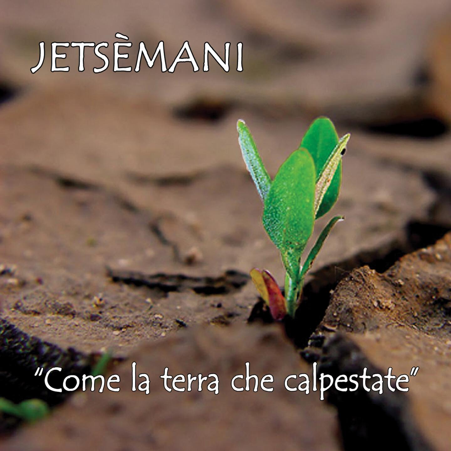 Релиз Come la terra che calpestate