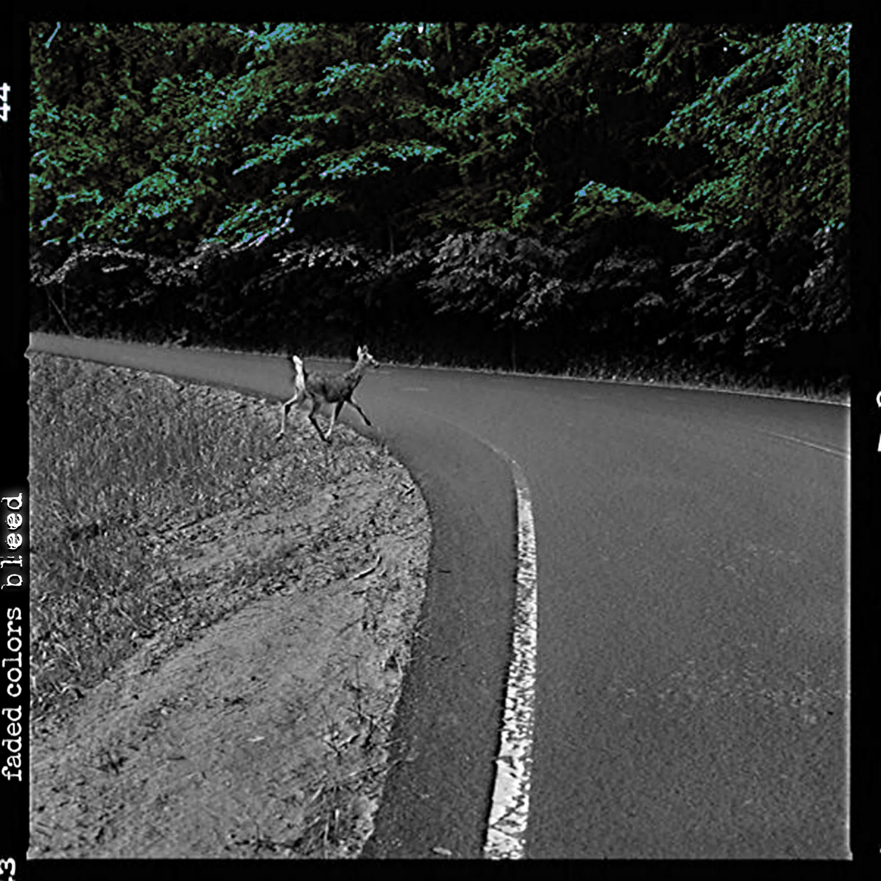 Релиз faded colors bleed