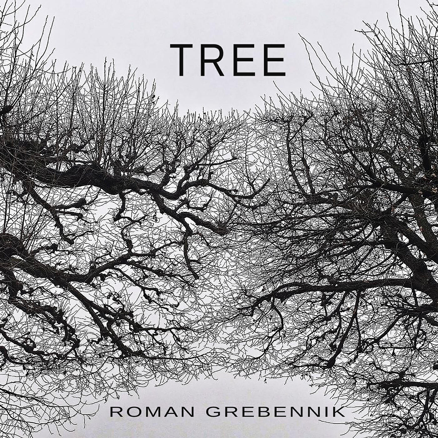 Roman Grebennik