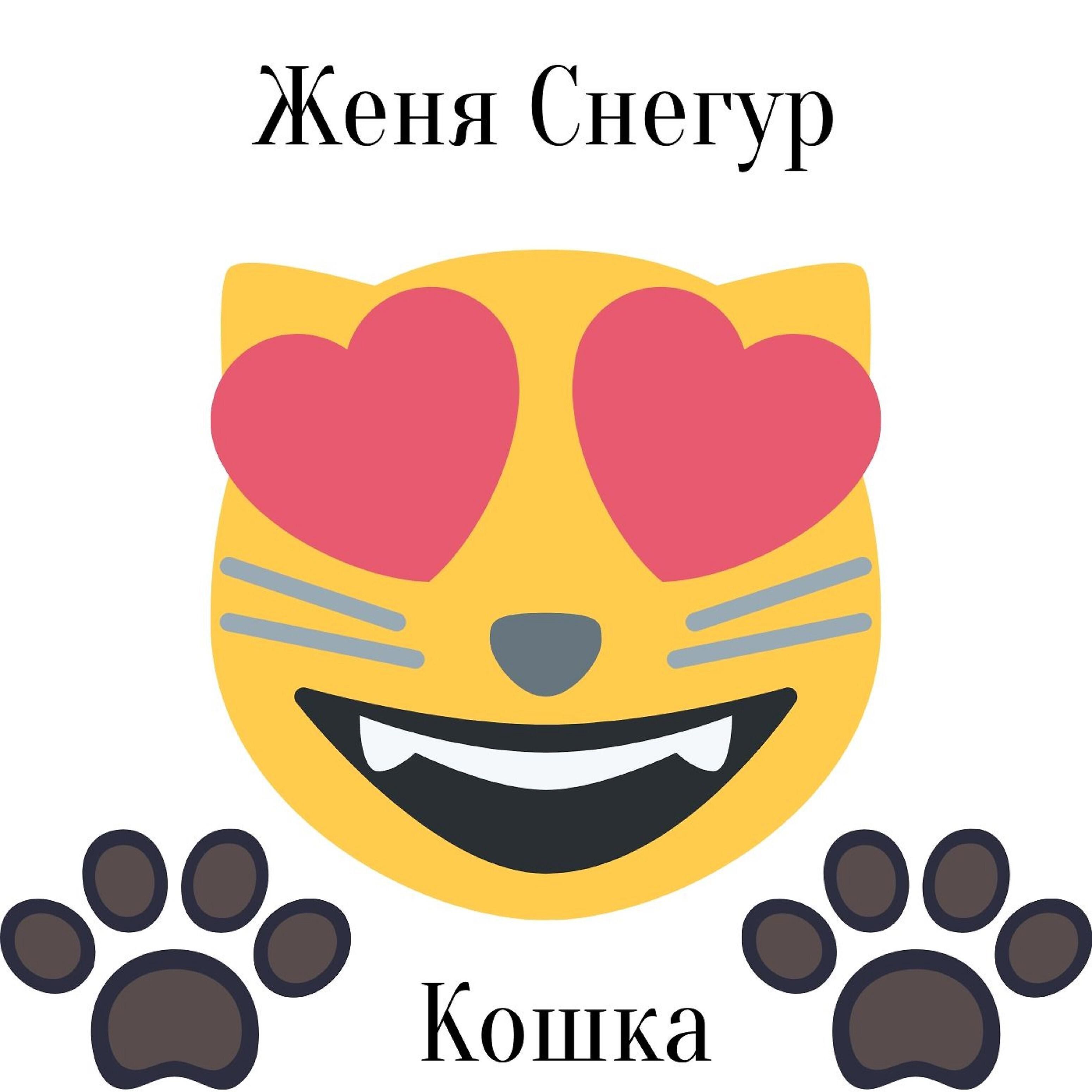 Постер альбома Кошка