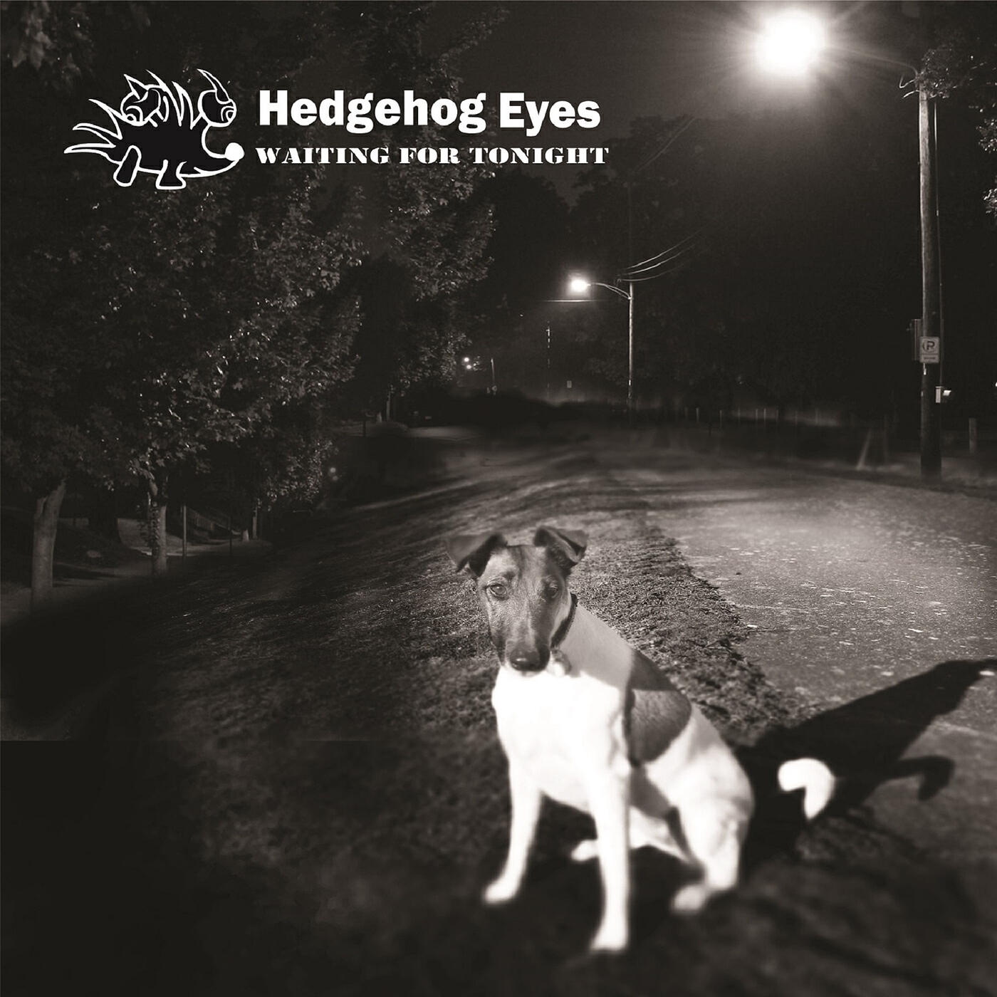 Hedgehog Eyes