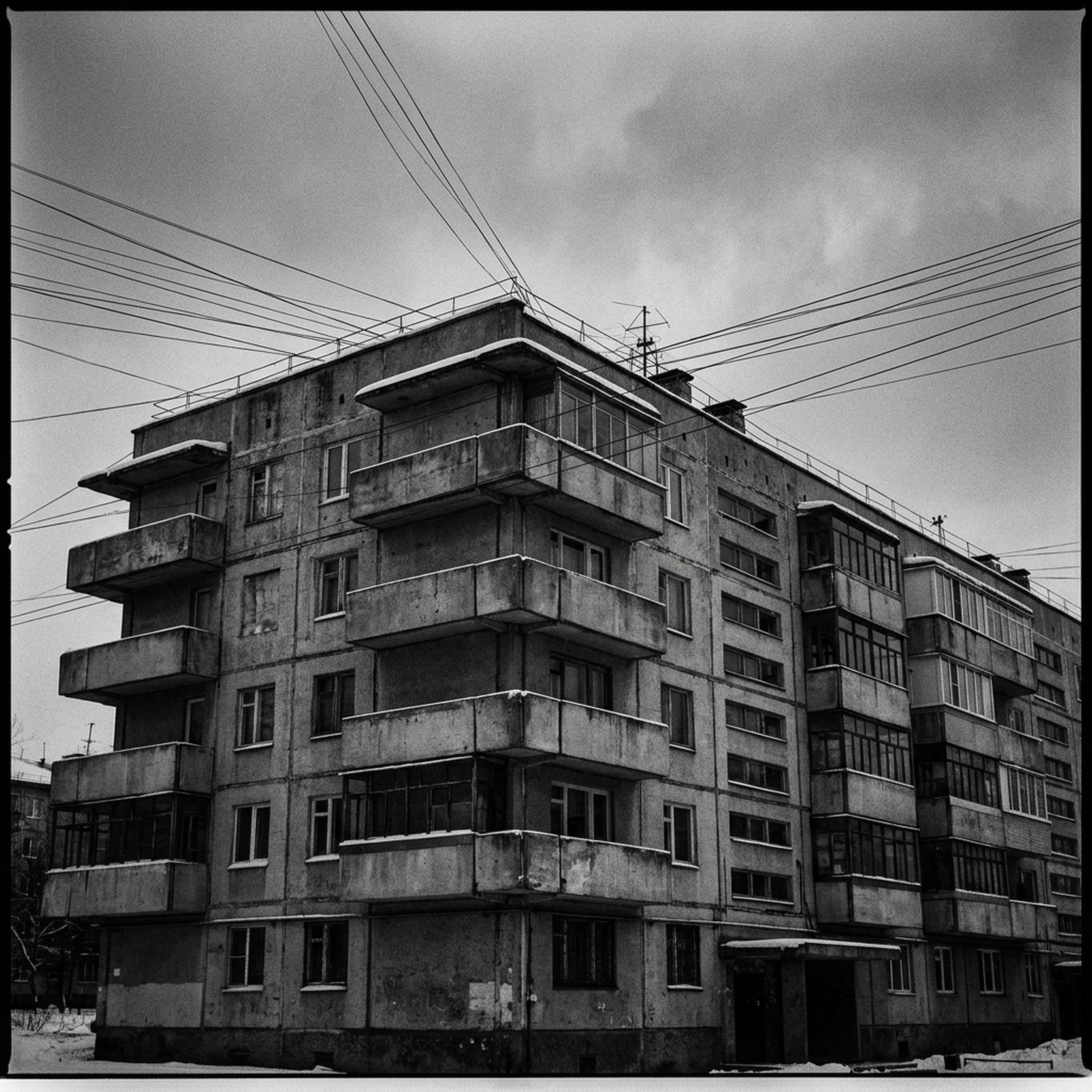 Andrey Virek
