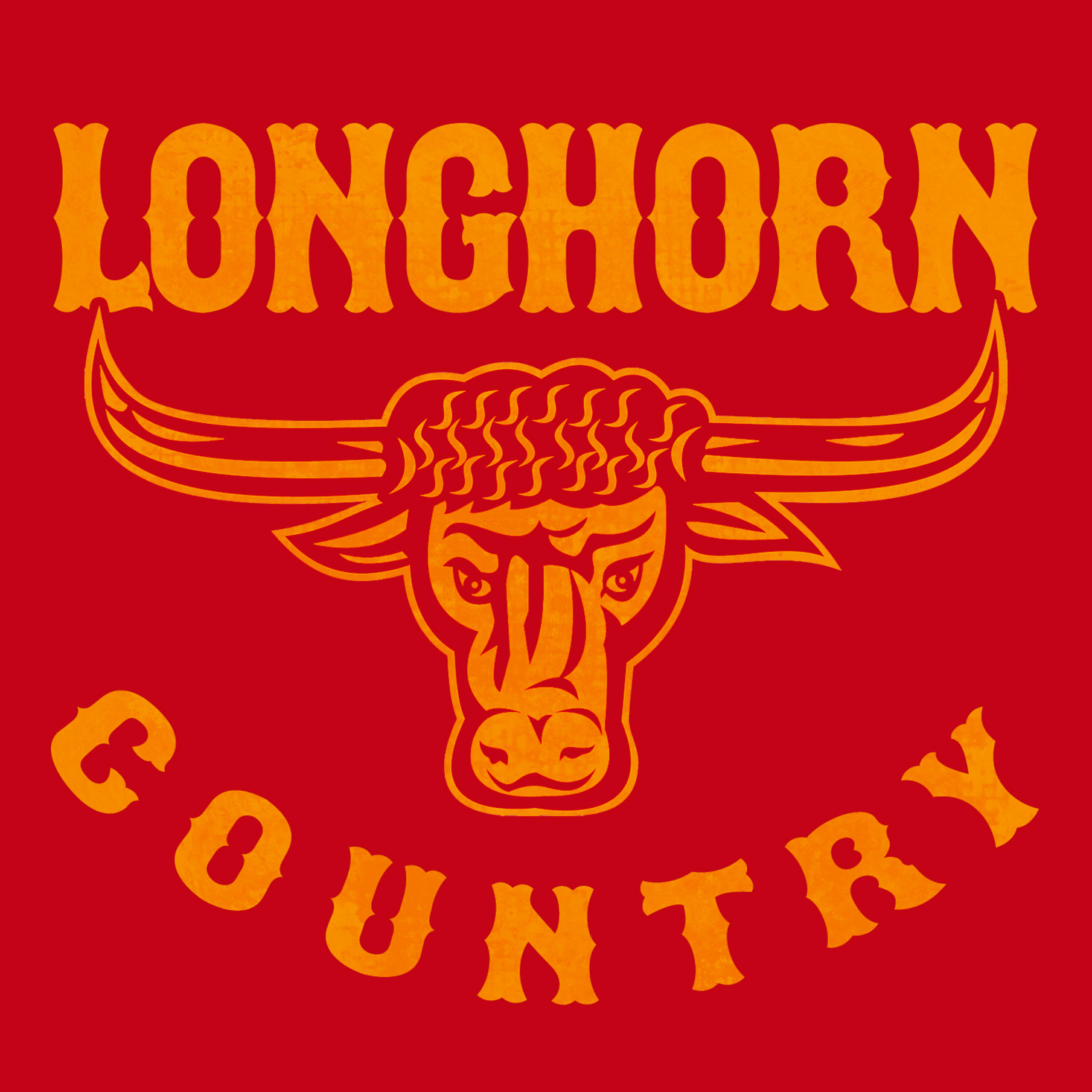 Long Horn Country