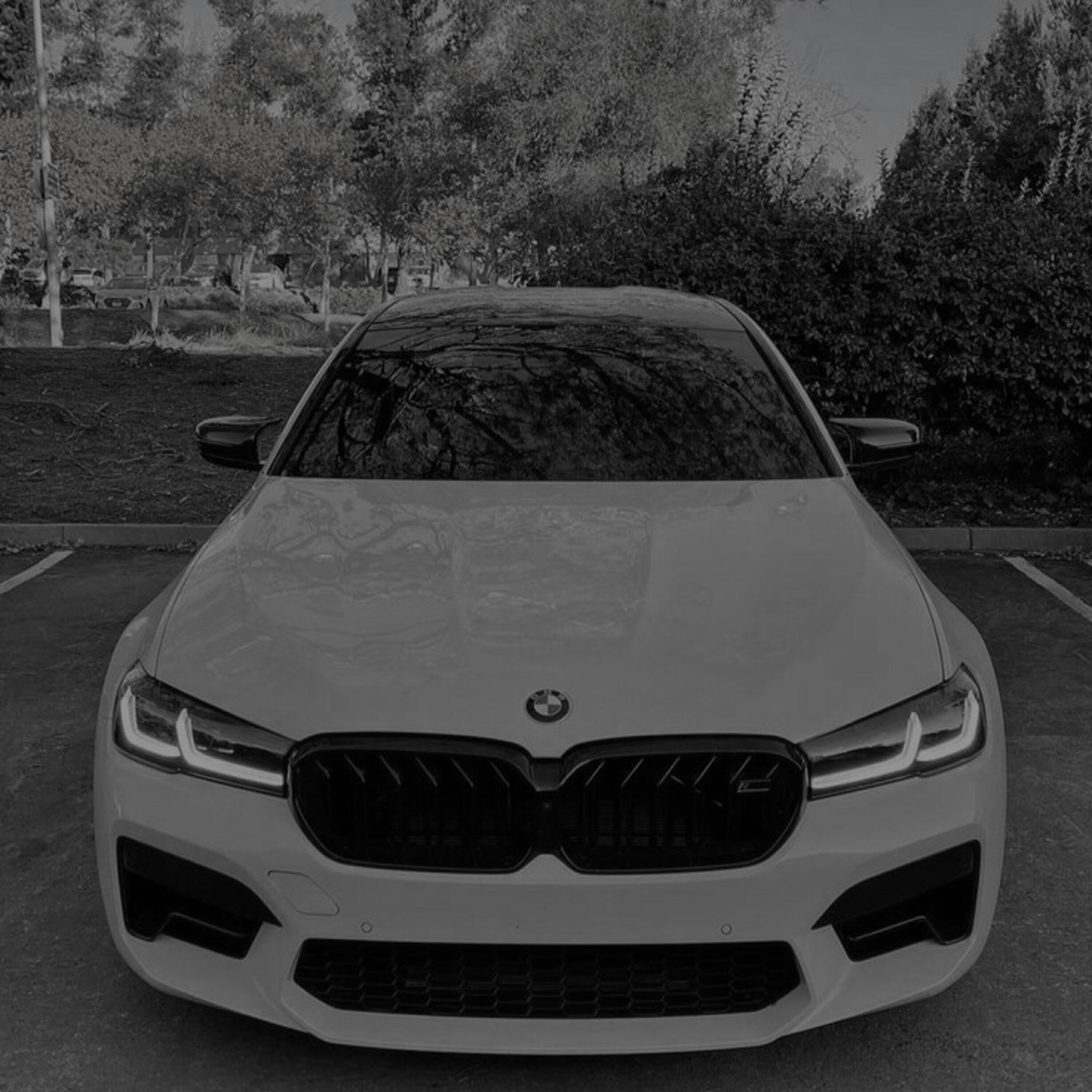 sfgguz