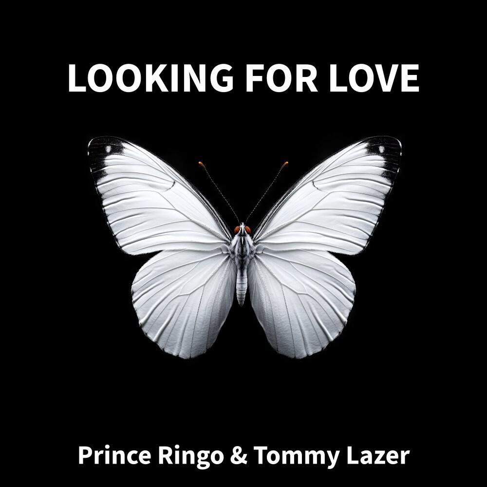 Tommy Lazer