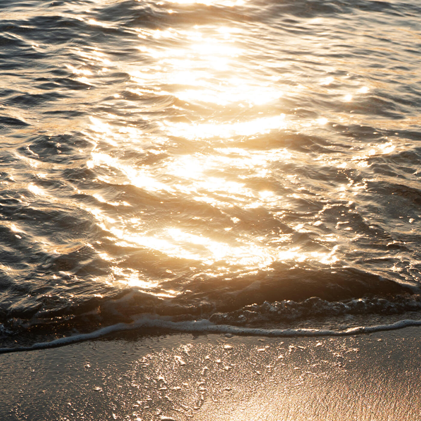 Релиз Seaglow
