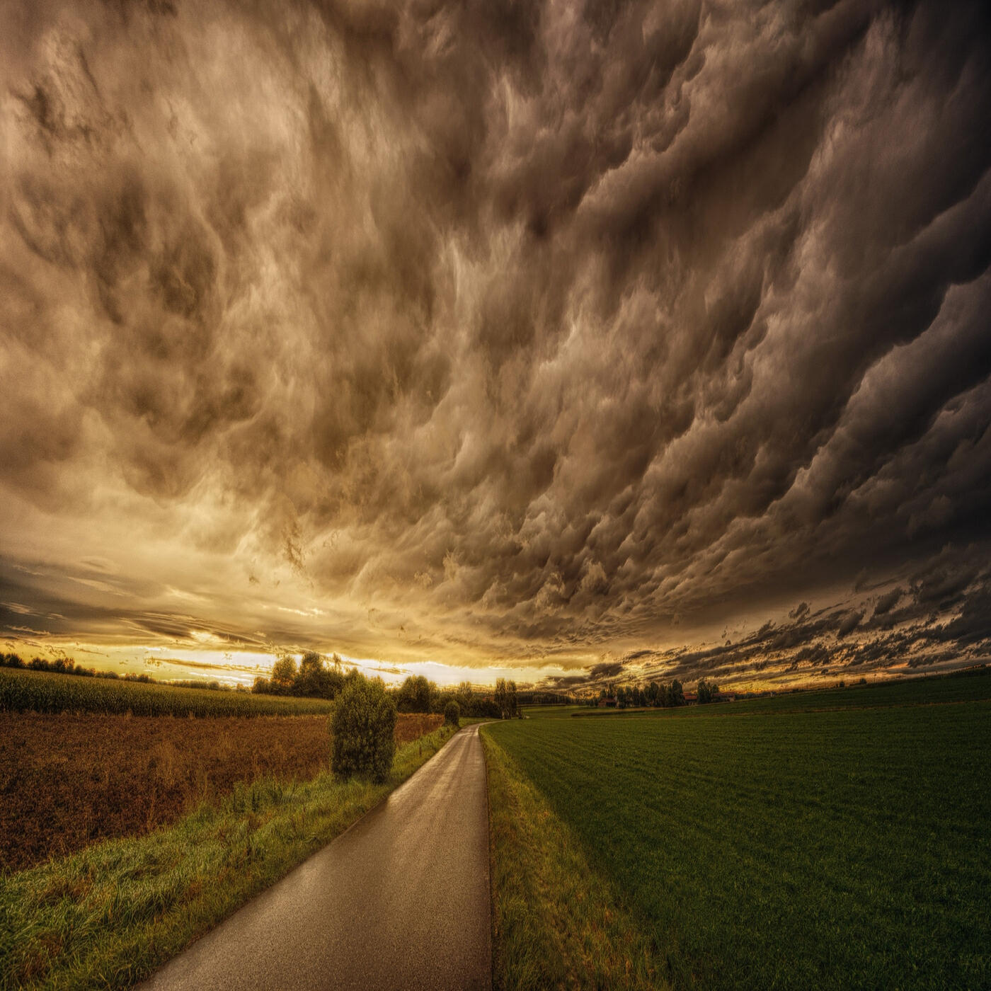 Релиз Untraveled Roads