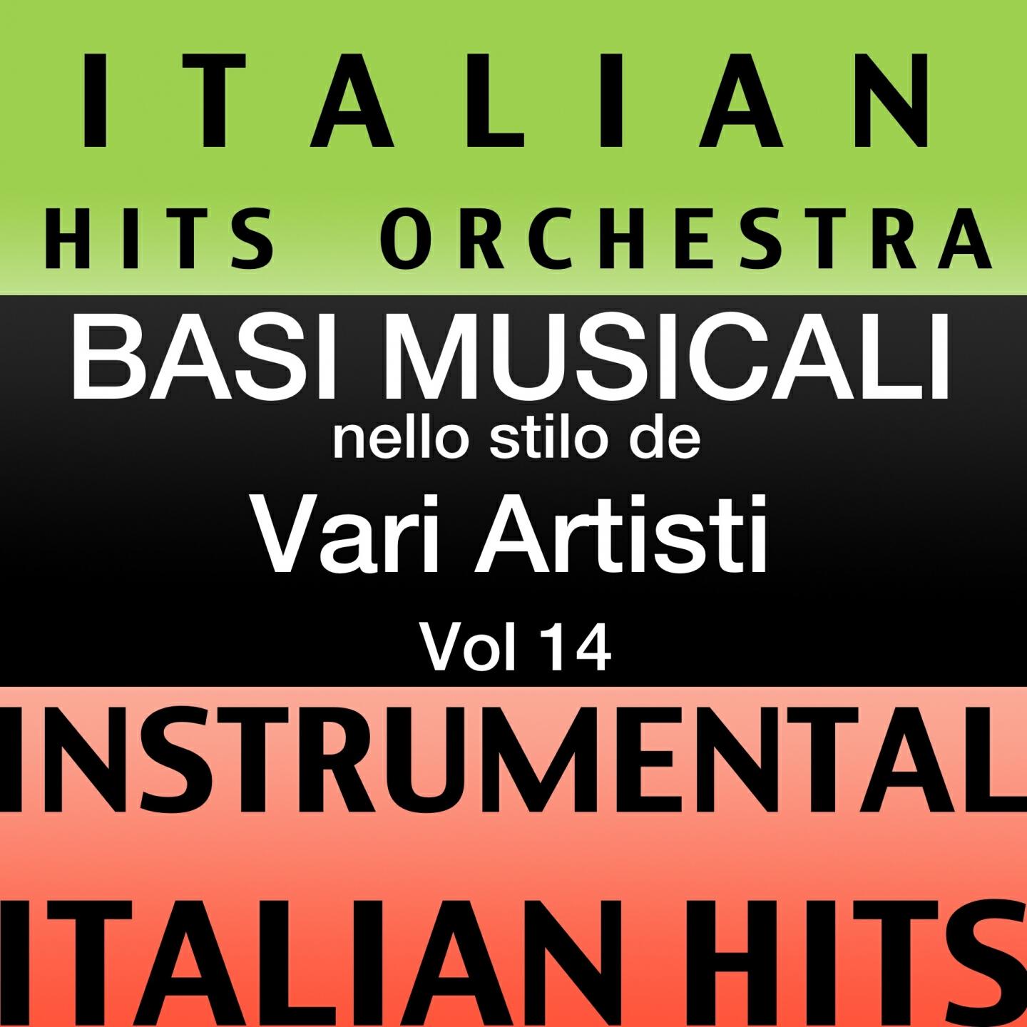 Релиз Basi musicale nello stilo dei vari artisti (instrumental karaoke tracks) Vol. 14