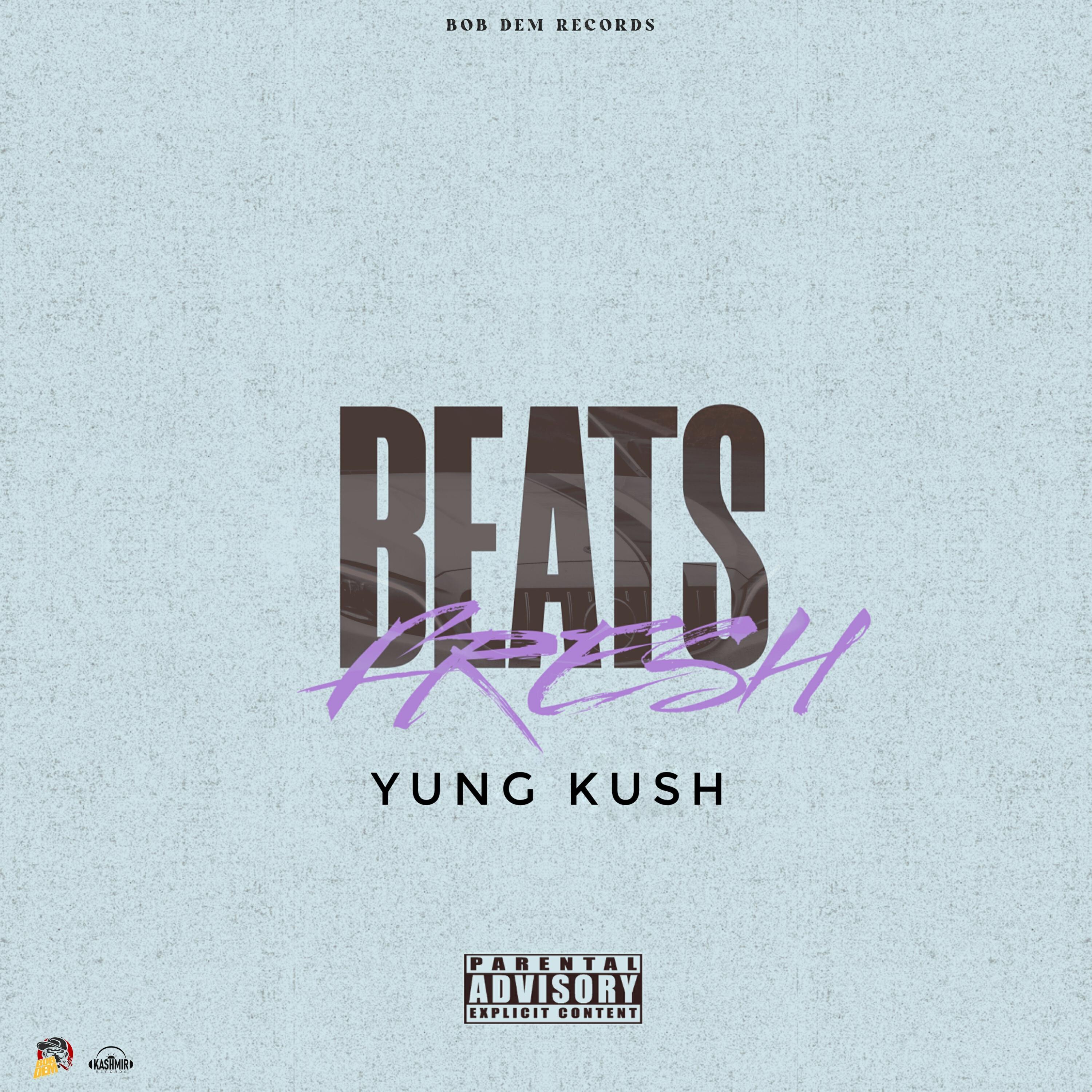Релиз Beats Fresh