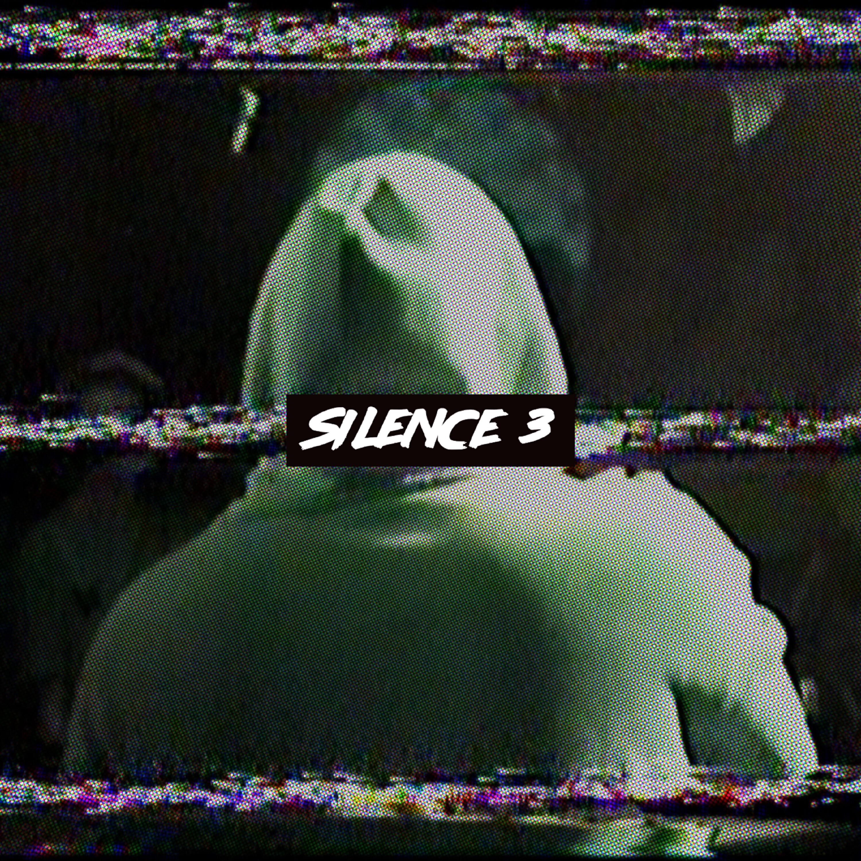 Релиз Silence 3
