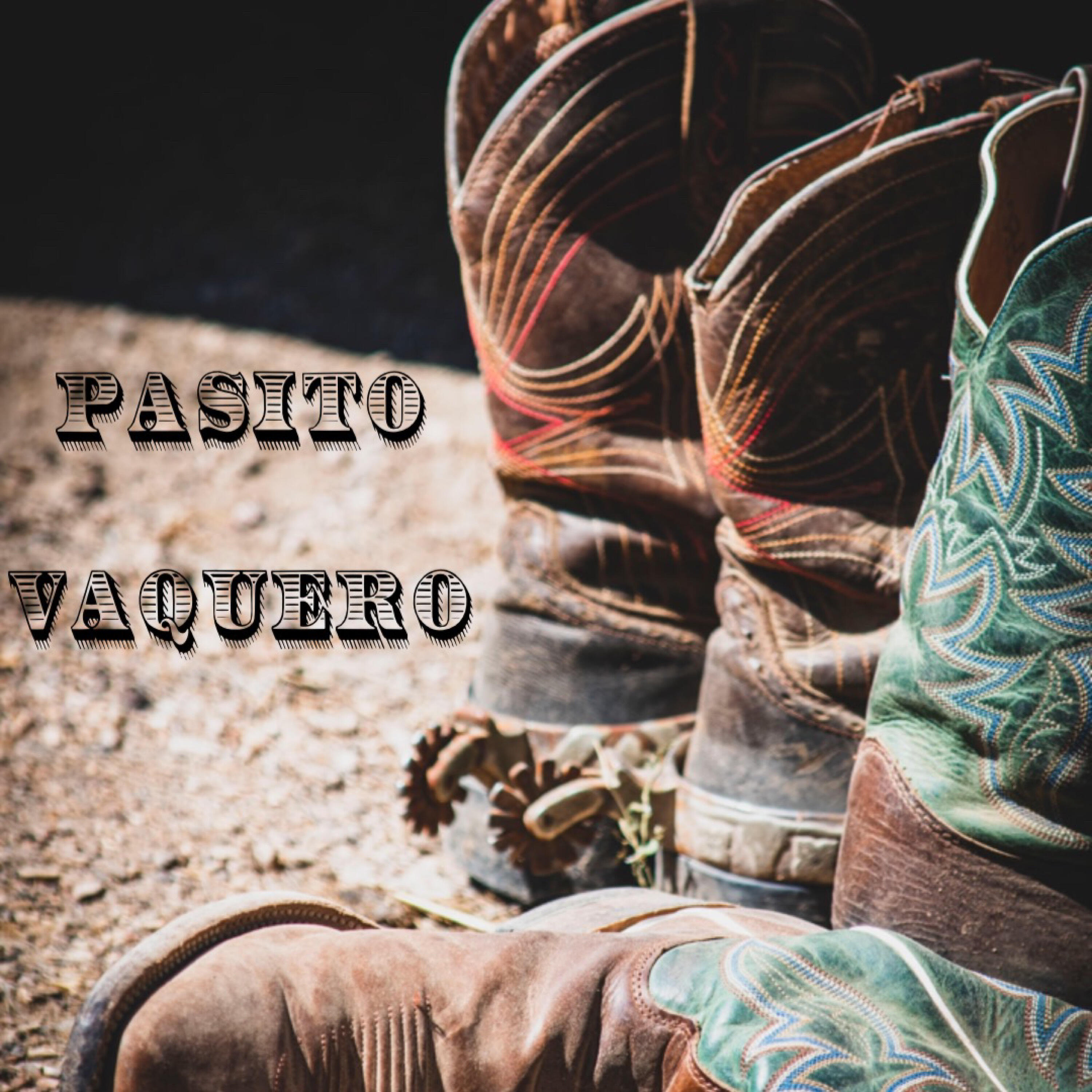 Релиз Pasito Vaquero
