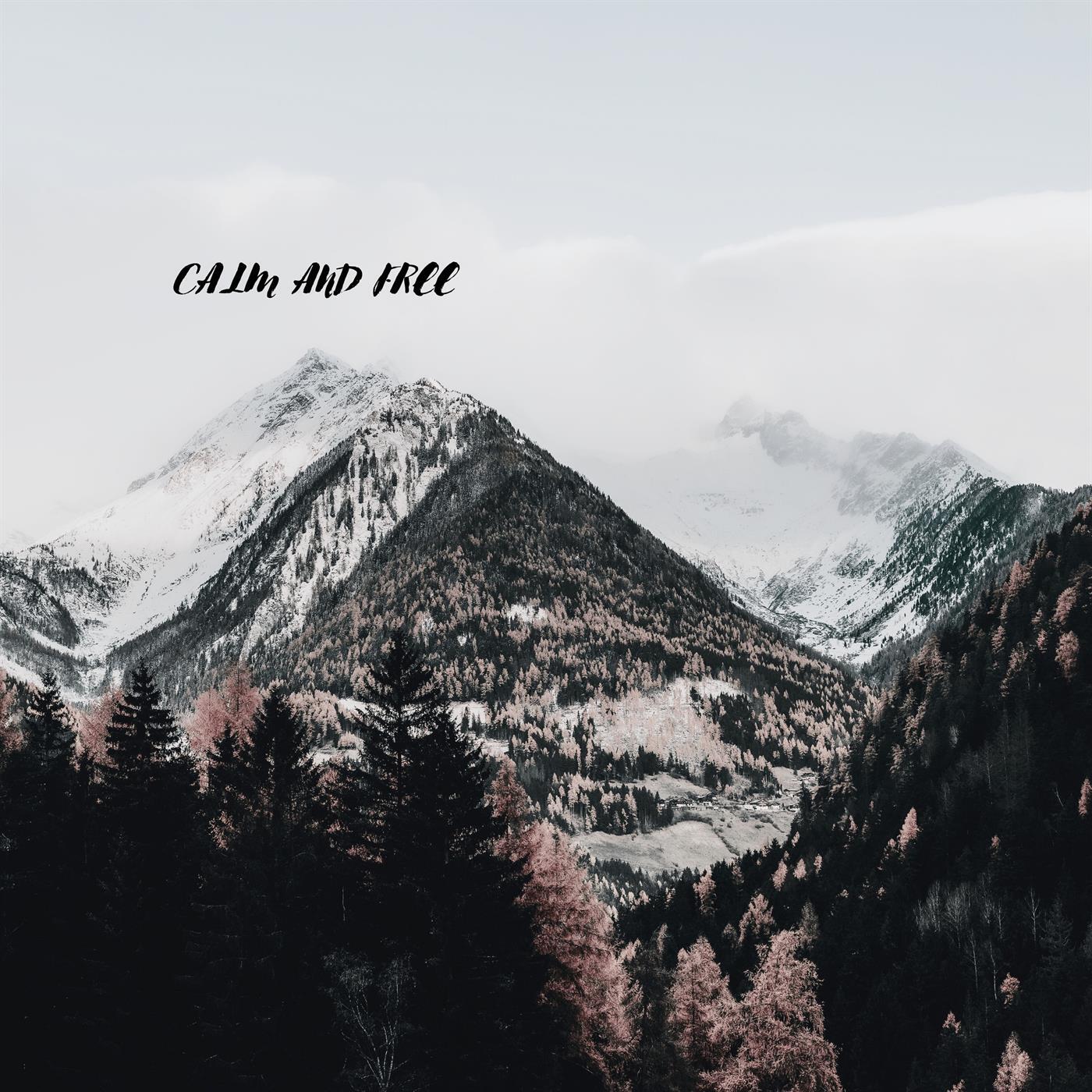 Релиз Calm and Free