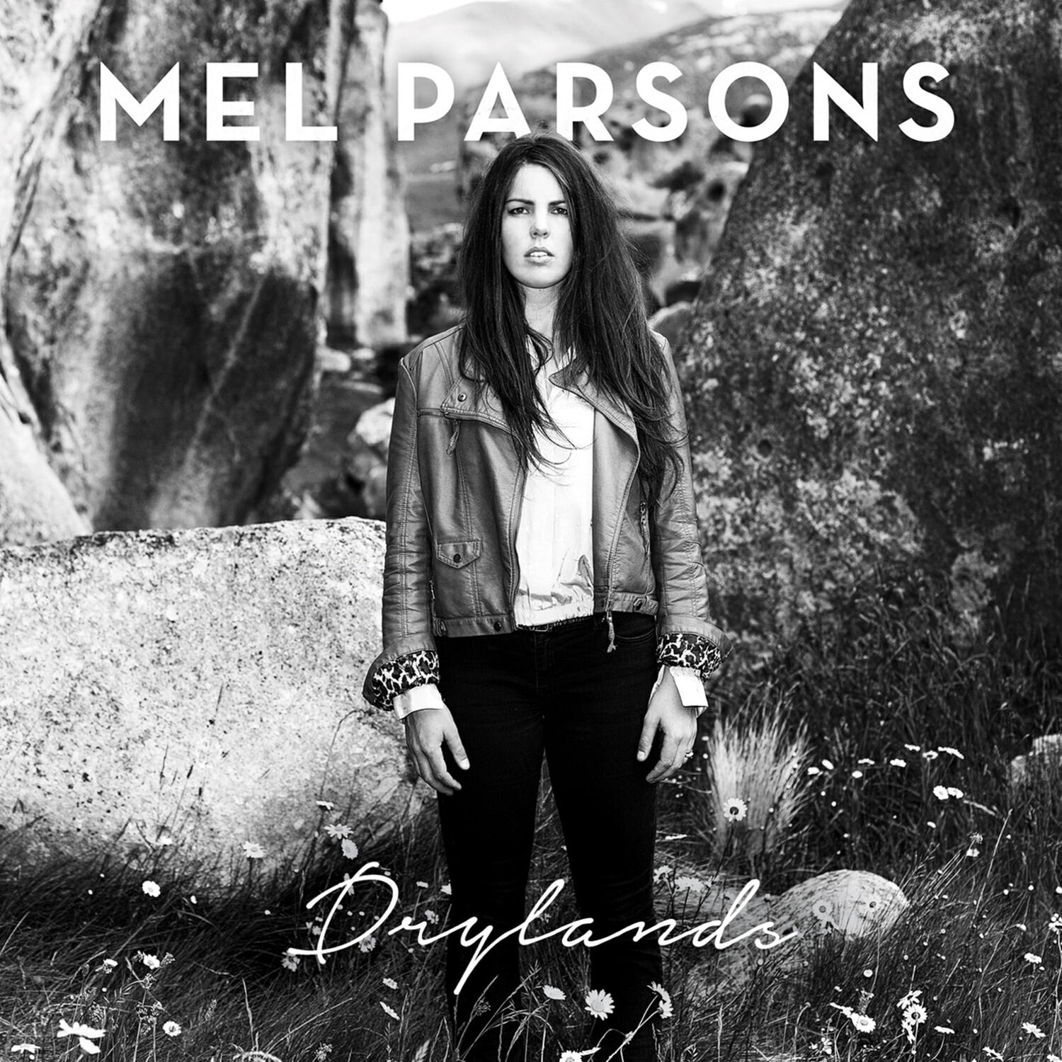 Релиз Drylands