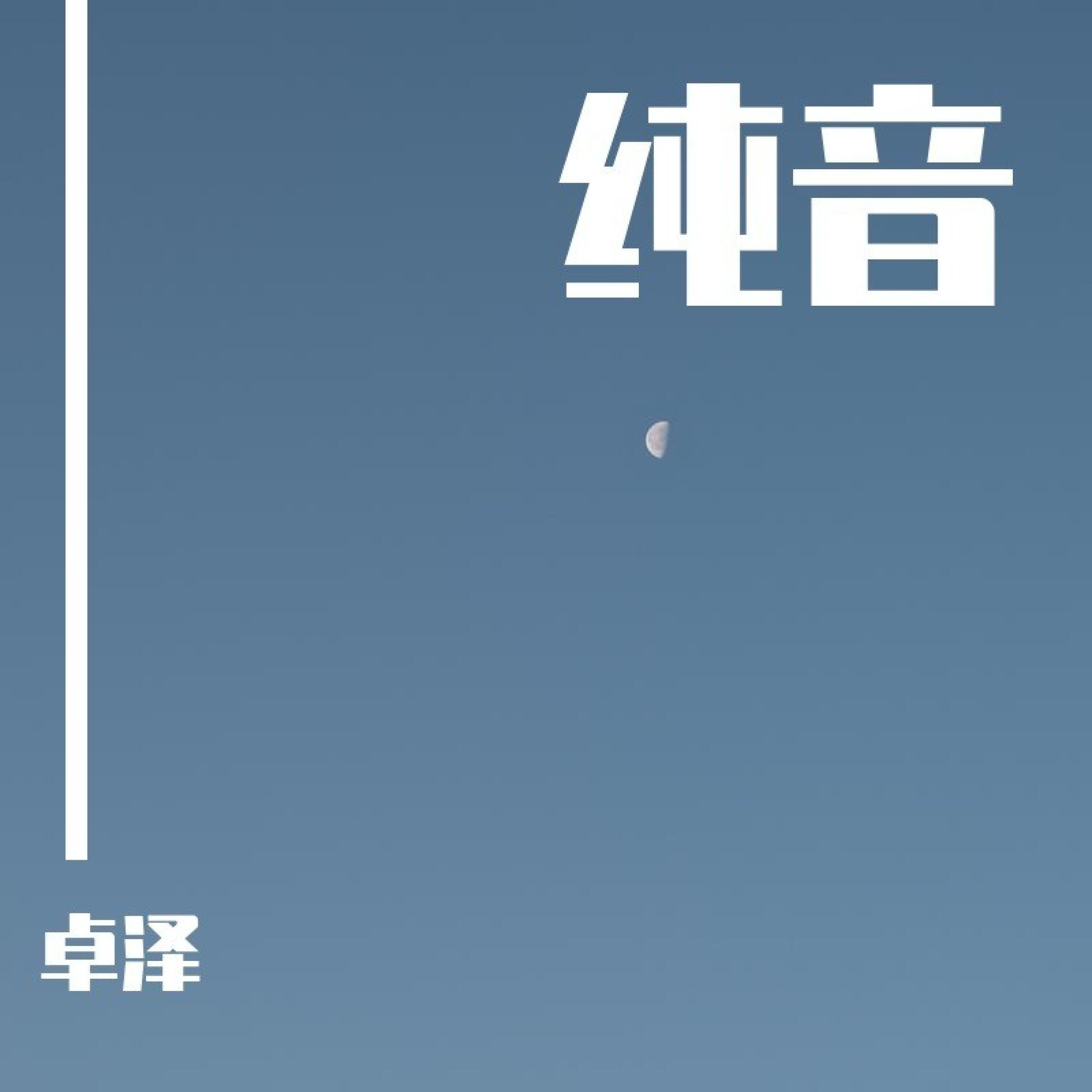 卓泽