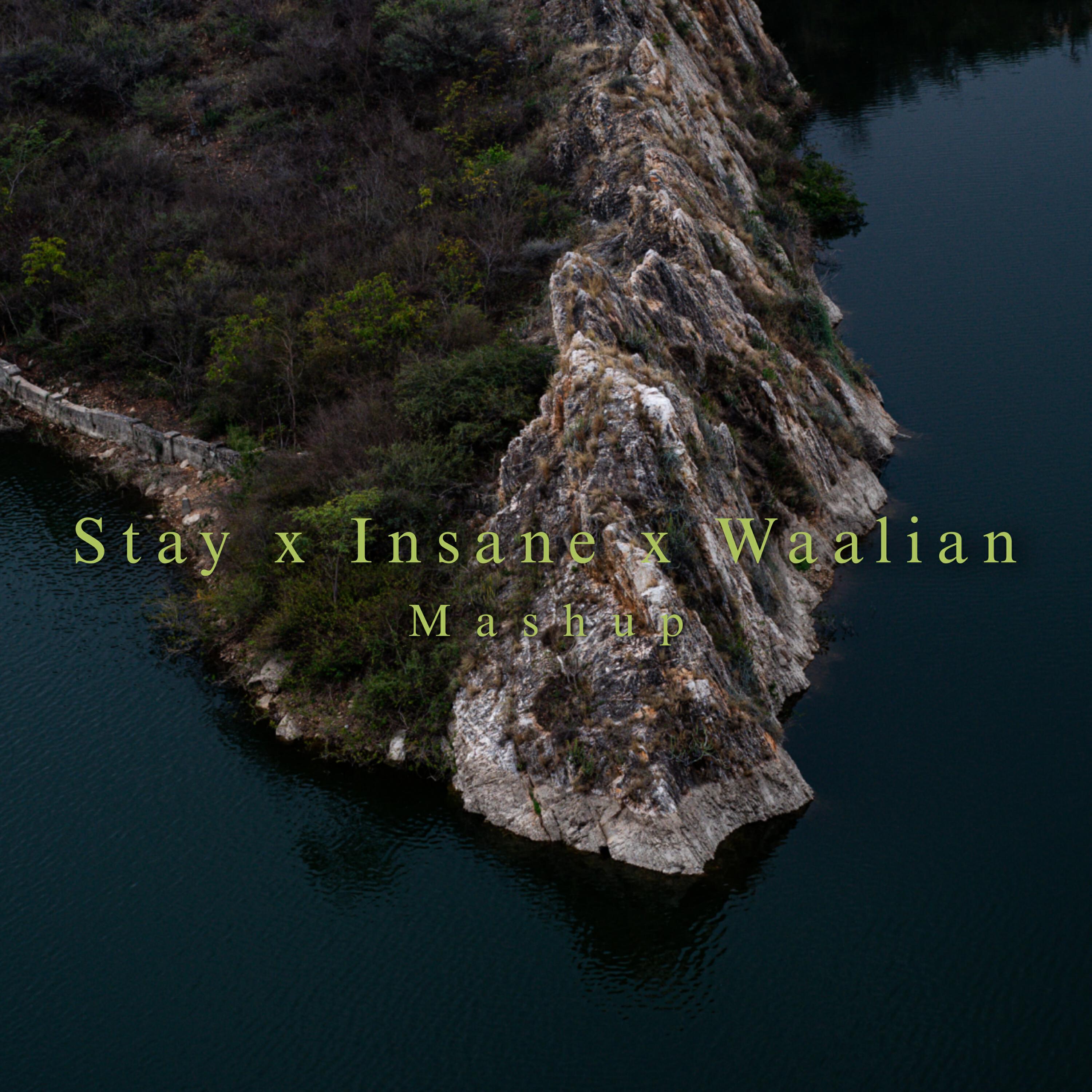 Релиз Stay x Insane x Waalian (Mashup)