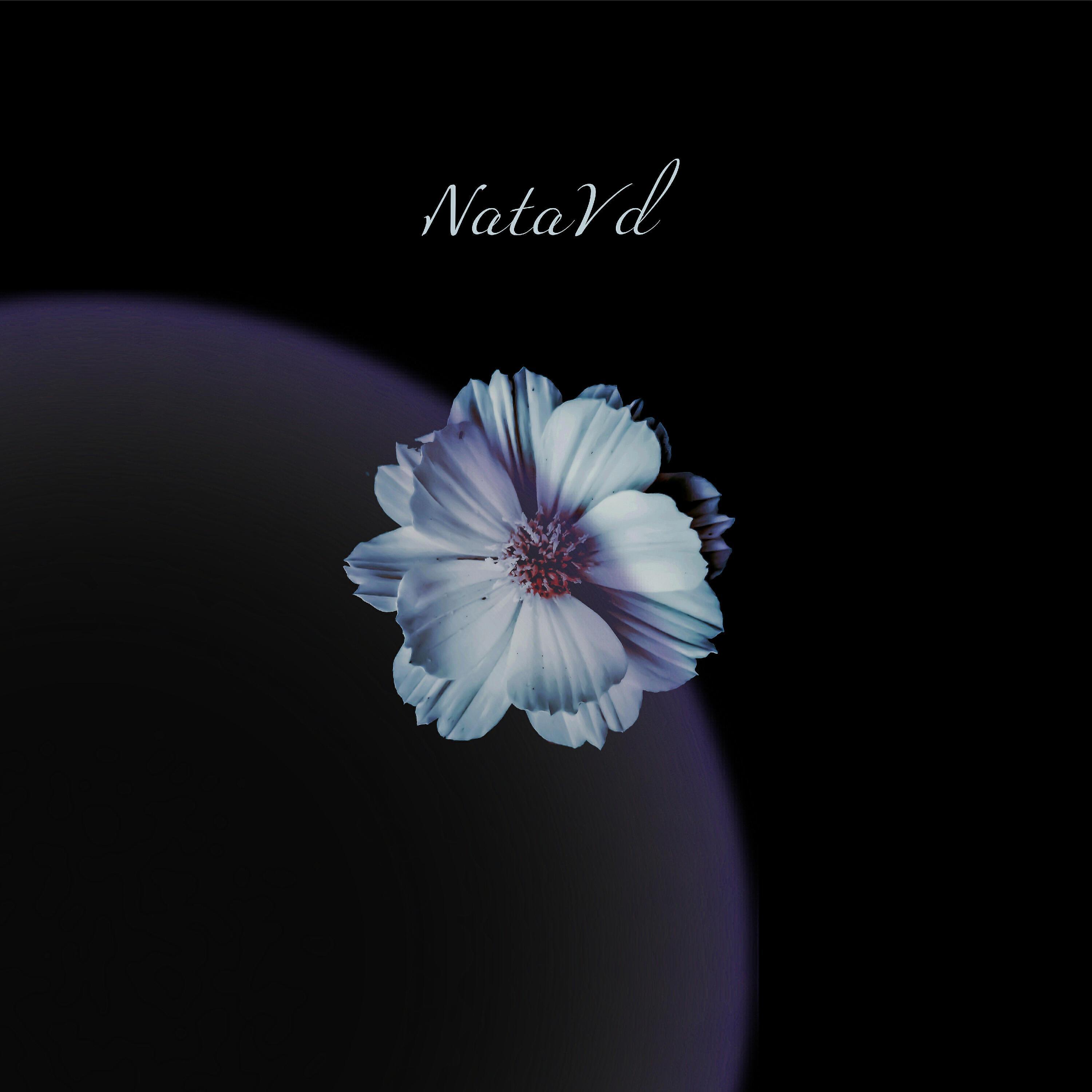 NataVd