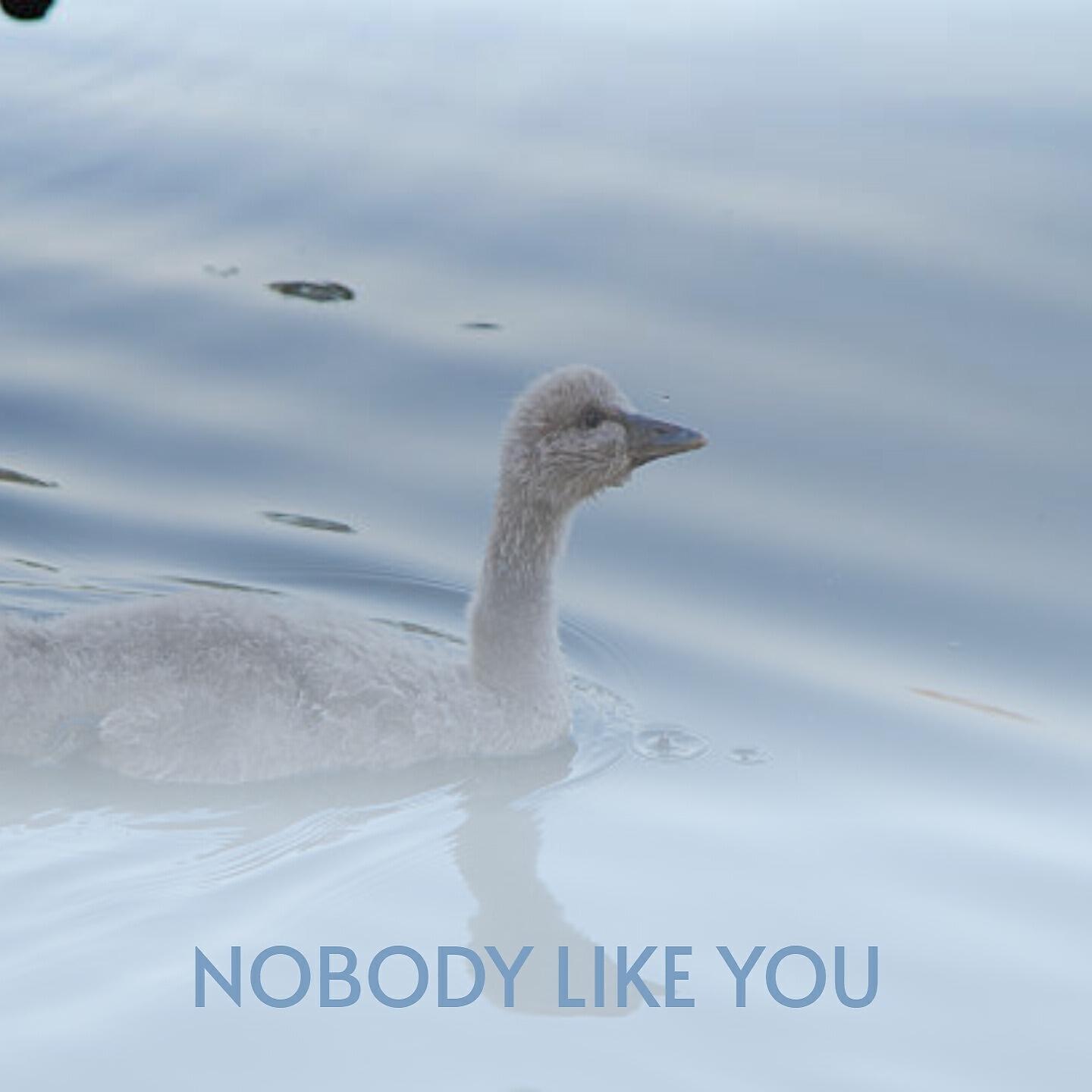 Релиз Nobody Like You