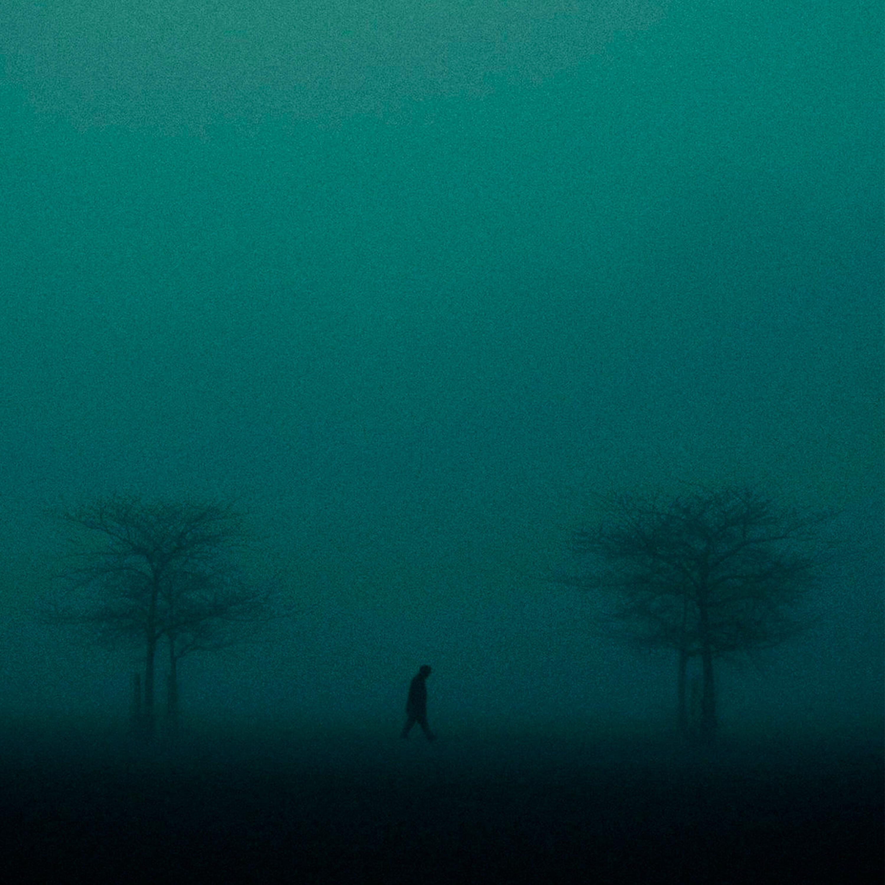 Релиз solitude