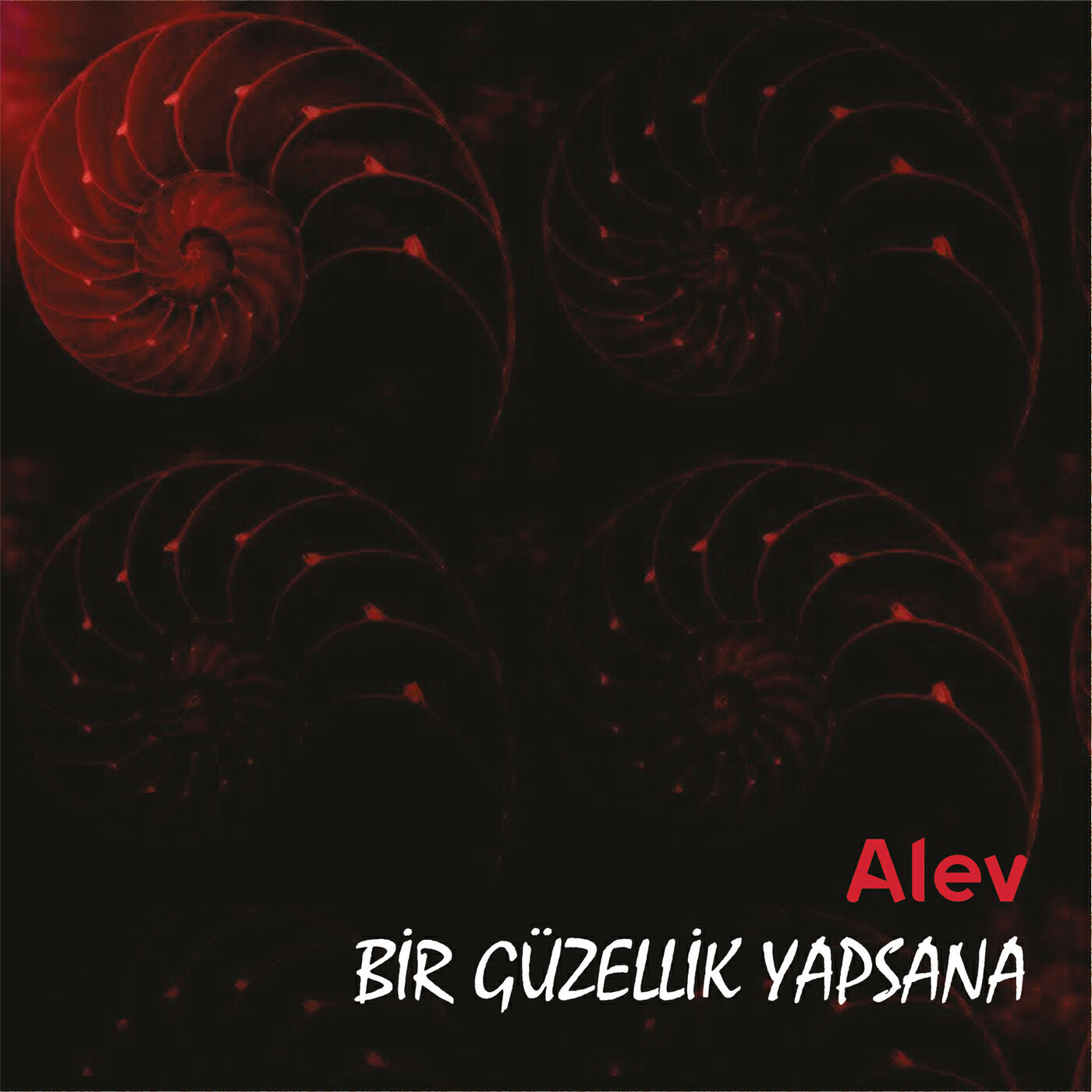 Релиз Bir Güzellik Yapsana