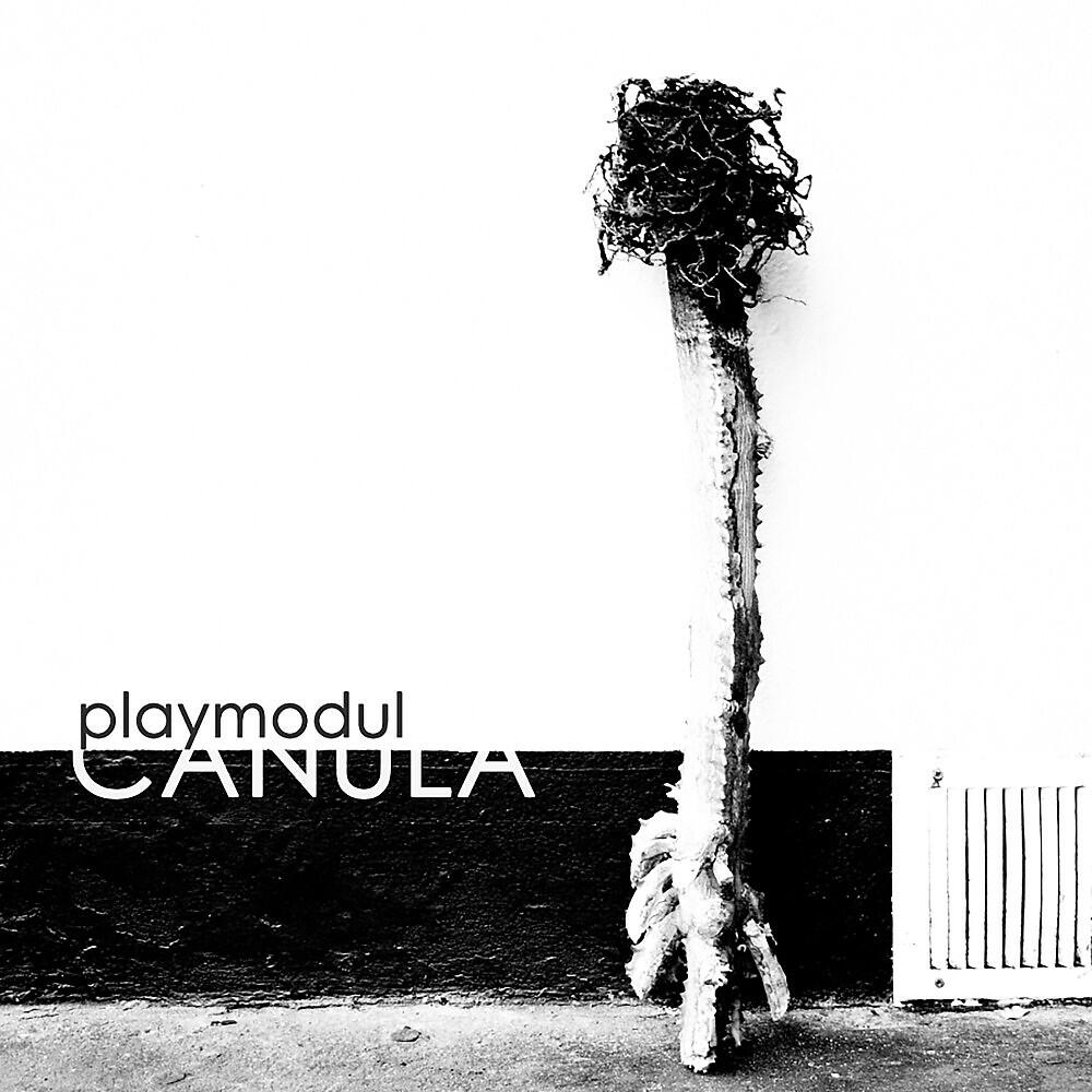 Релиз Canula