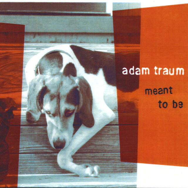 Adam Traum