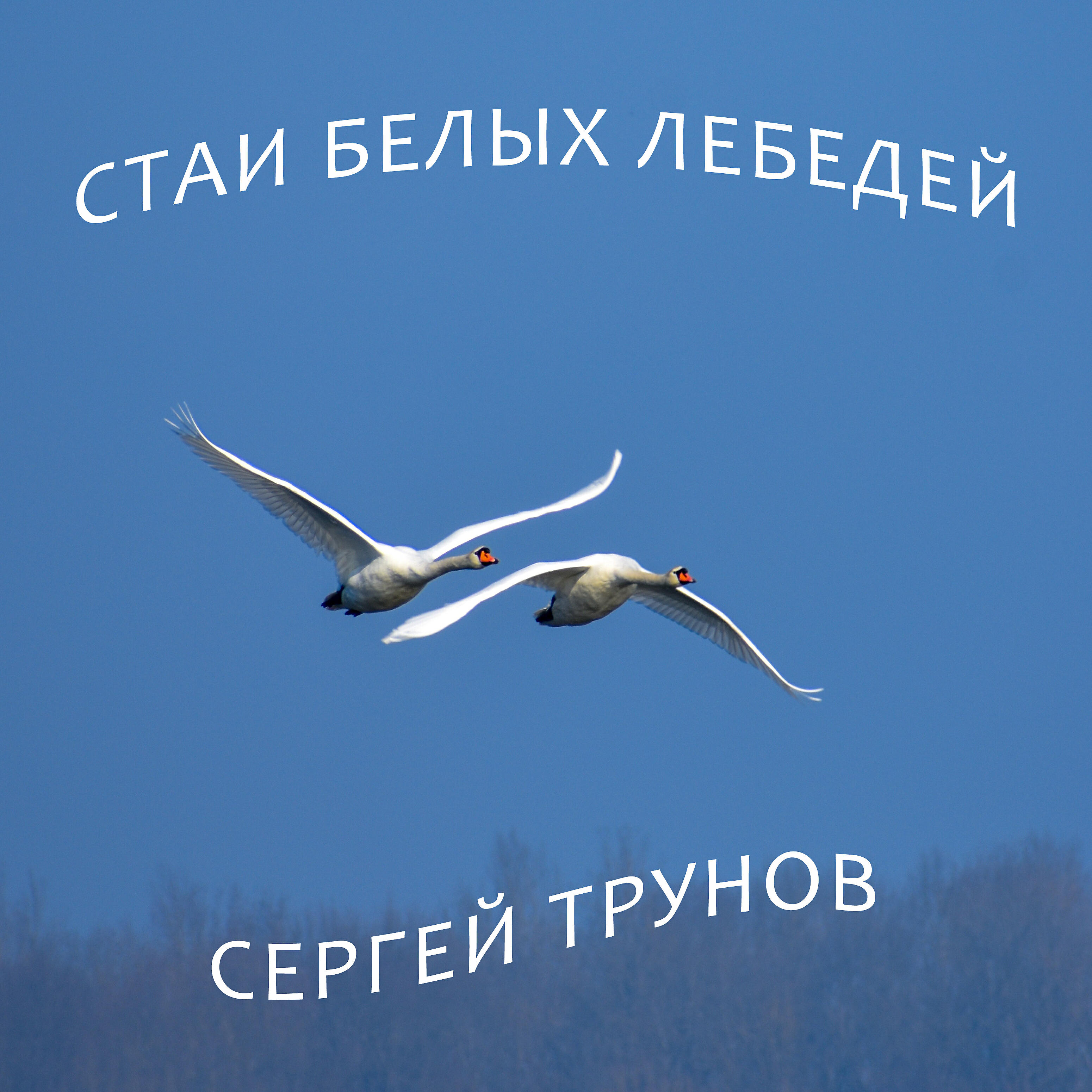 Релиз Стаи белых лебедей