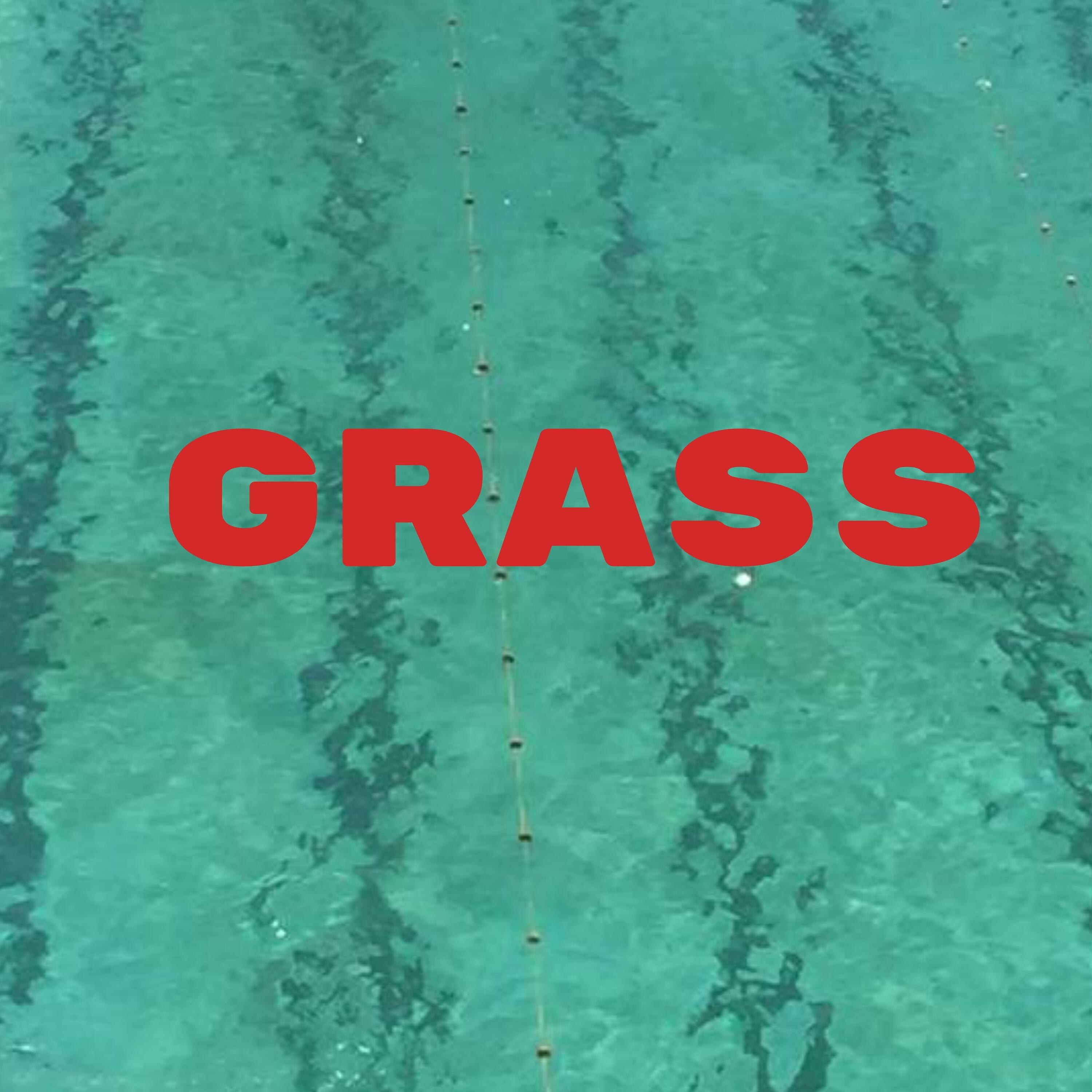 Релиз Grass