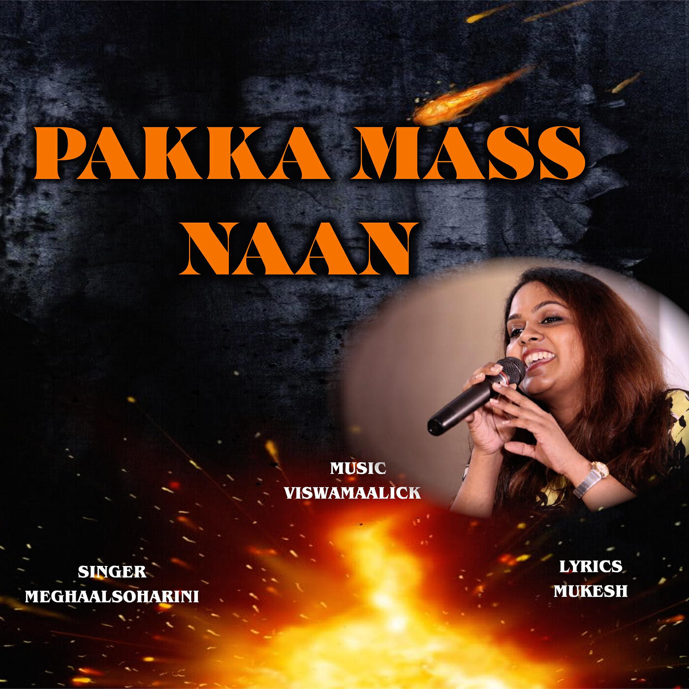 Постер альбома Pakka Mass Naan