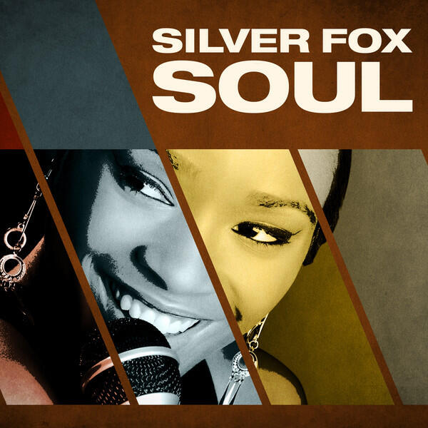 Релиз Silver Fox Soul