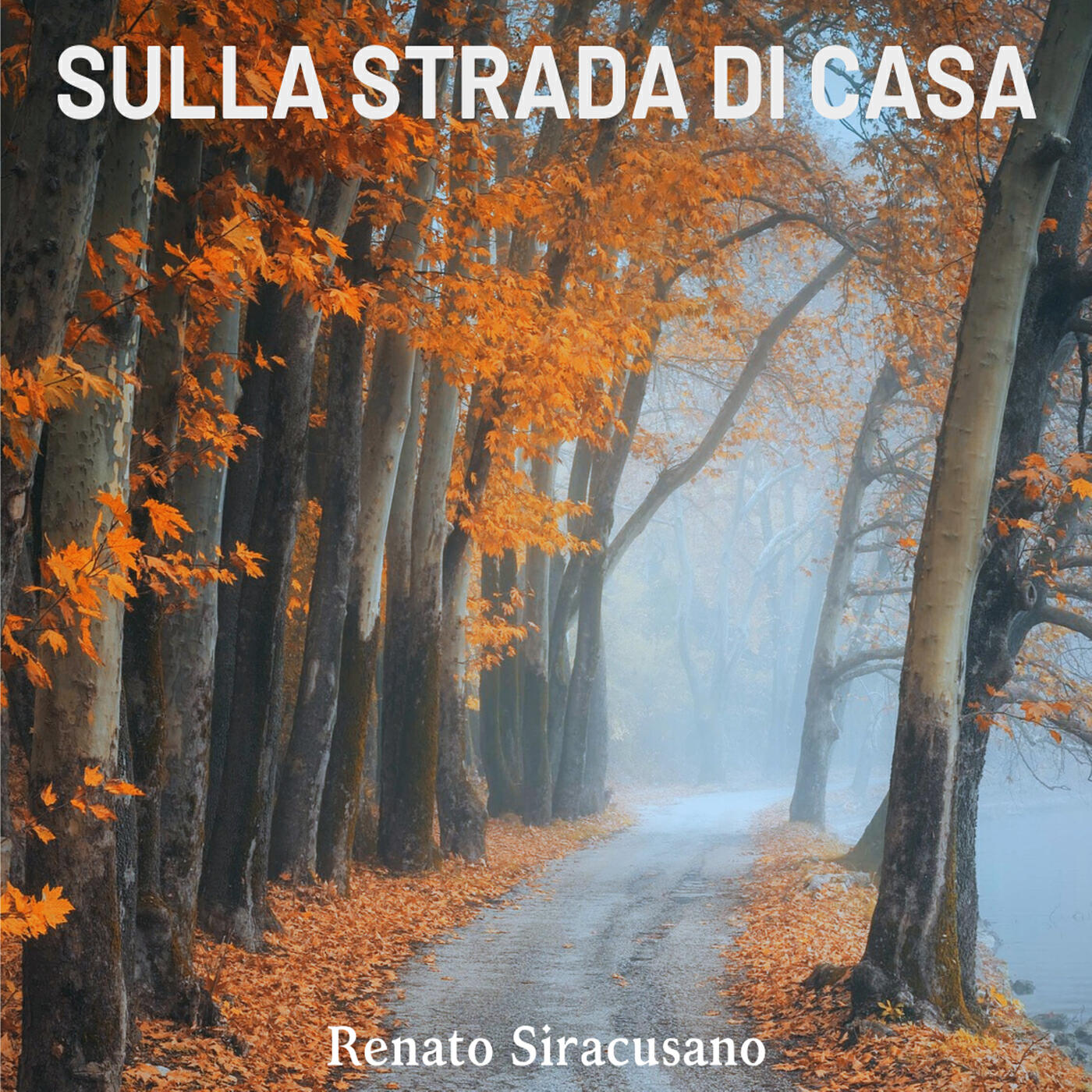 Релиз Sulla strada di casa