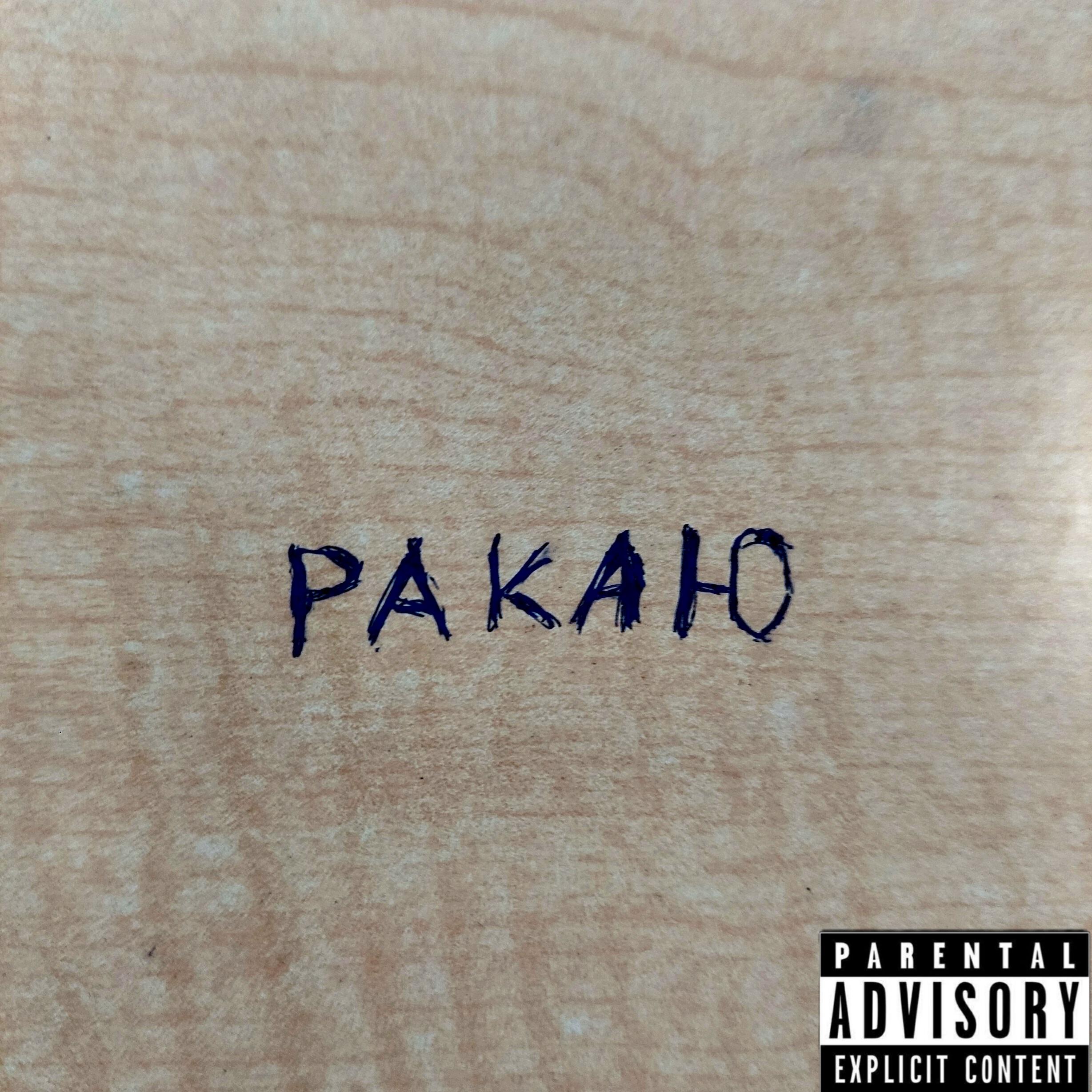 Релиз Ракаю