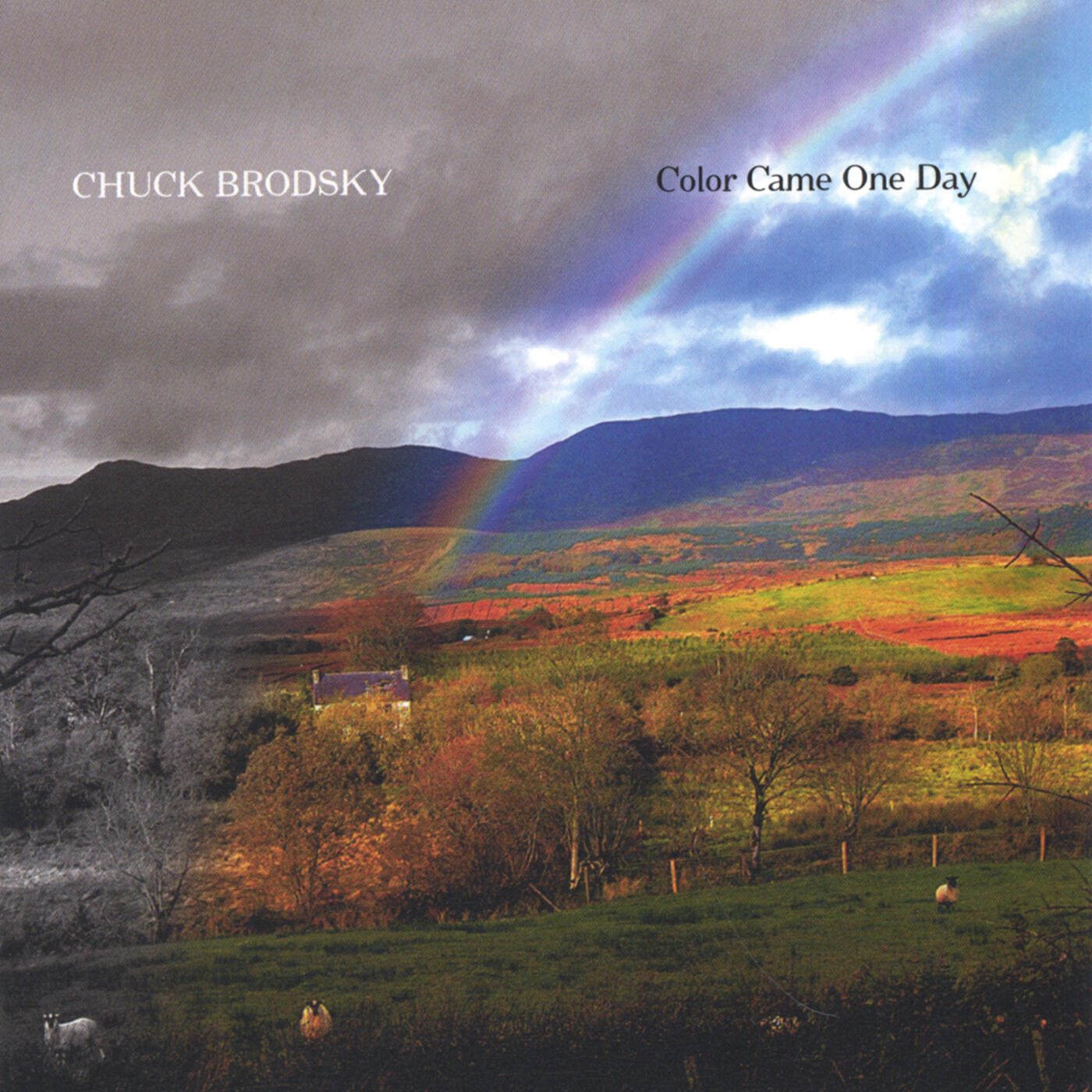 Релиз Color Came One Day