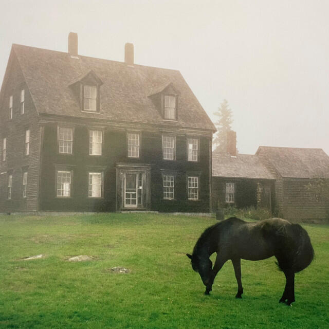 Релиз The Academy