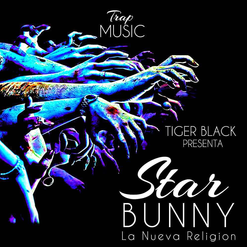 Star Bunny
