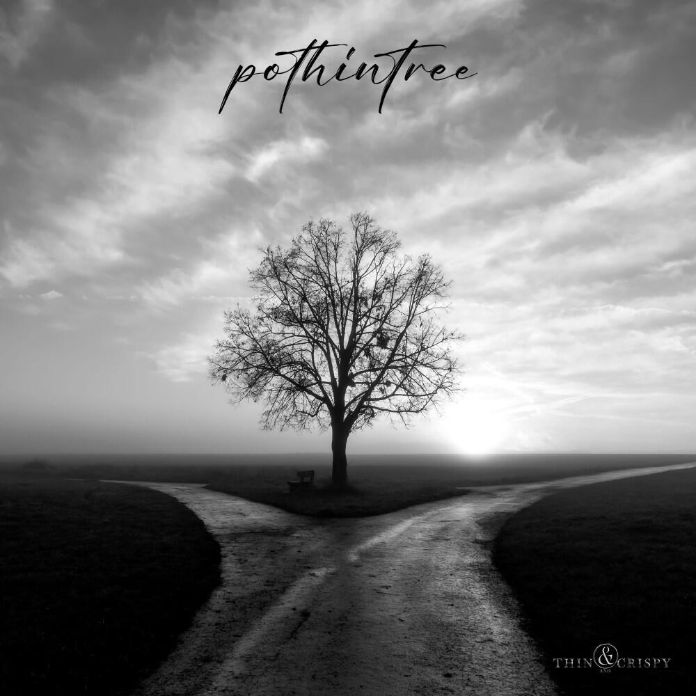 Релиз Pothintree