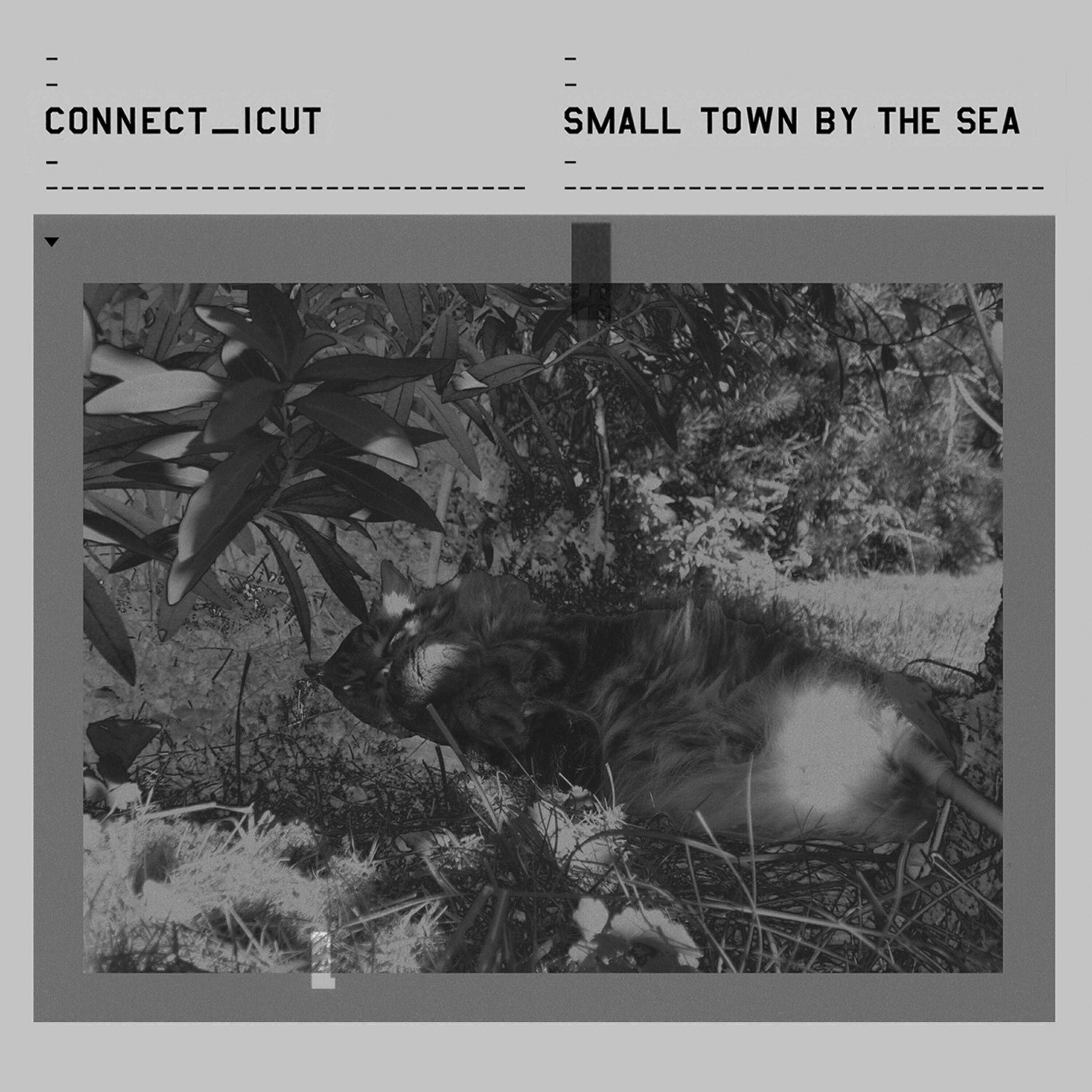 Релиз Small Town by the Sea