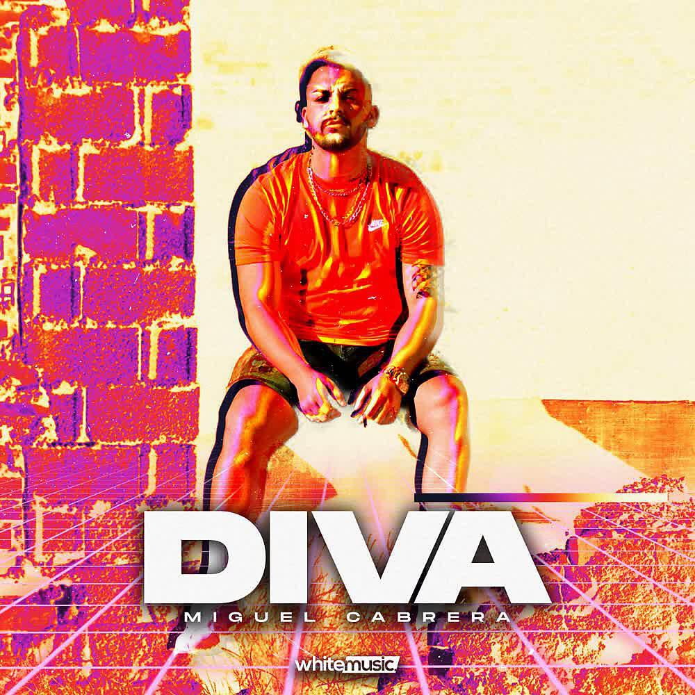 Релиз Diva