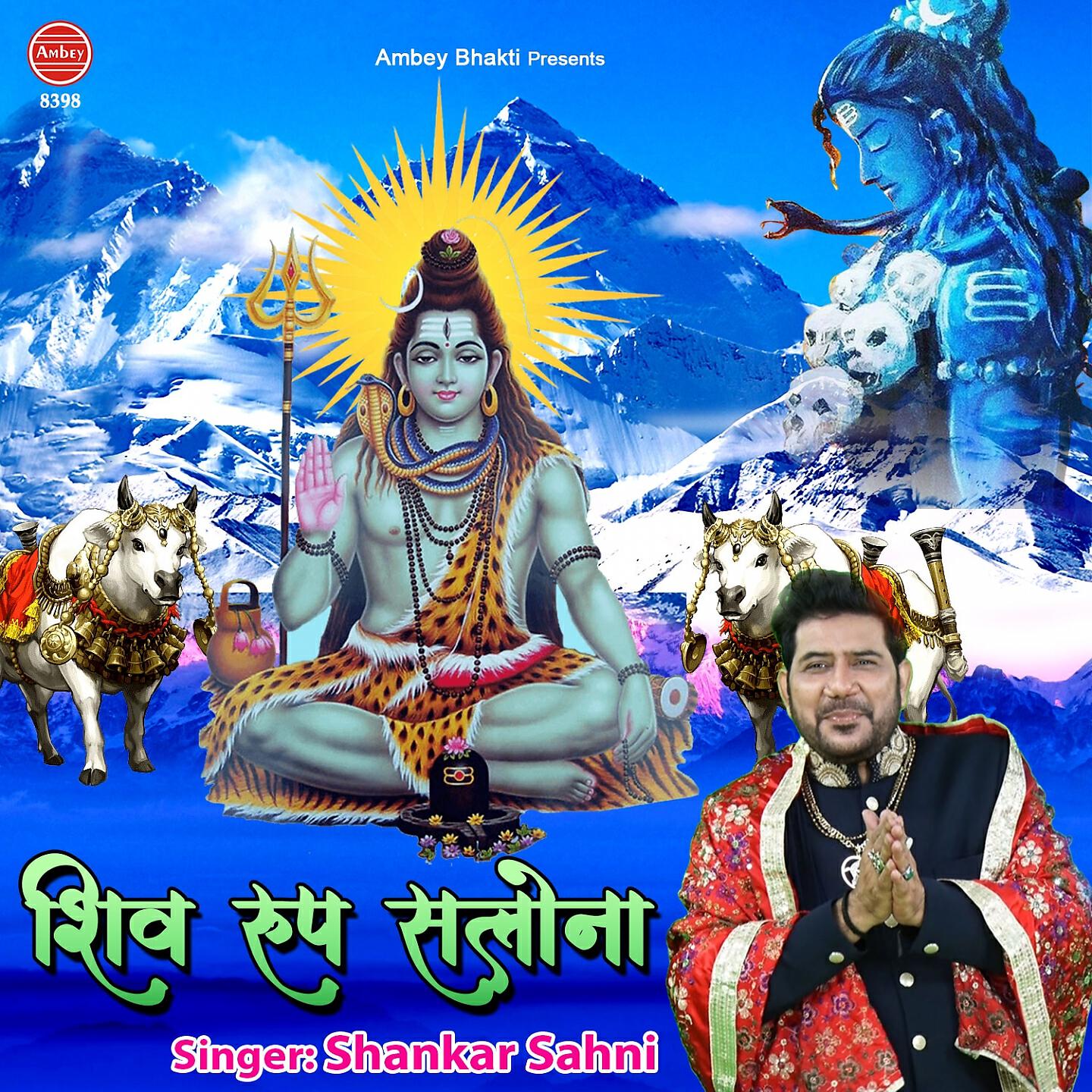 Релиз Shiv Roop Salona