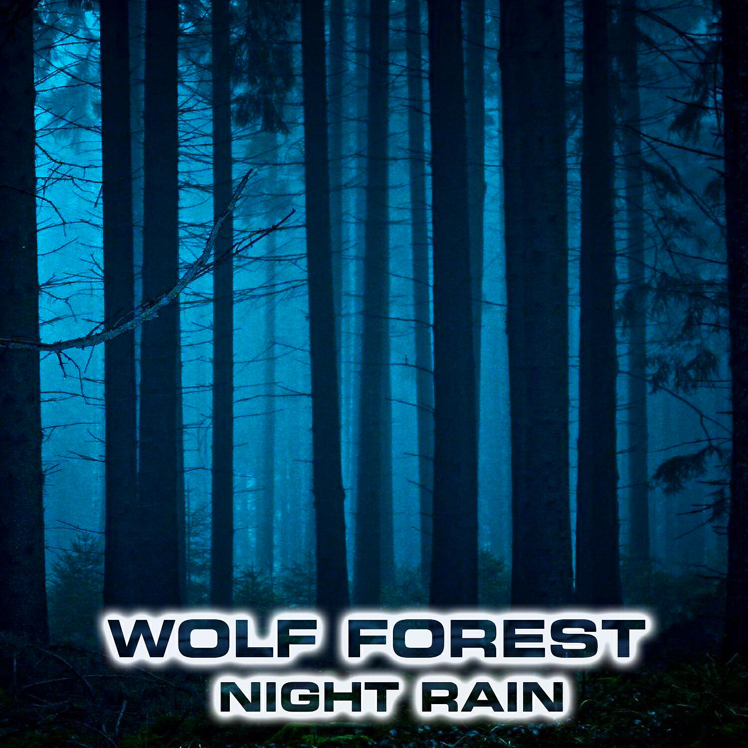 Wolf Mystic Forest Sounds