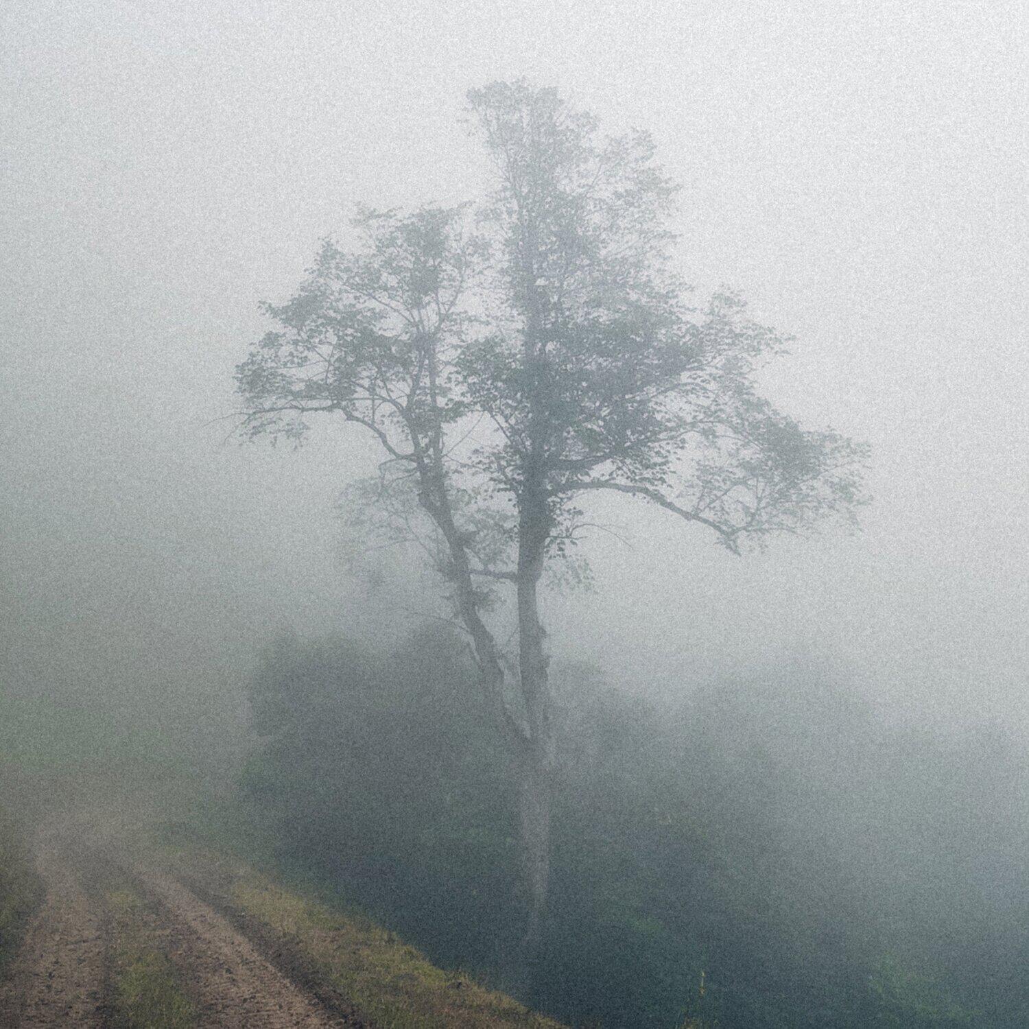 Релиз emptiness
