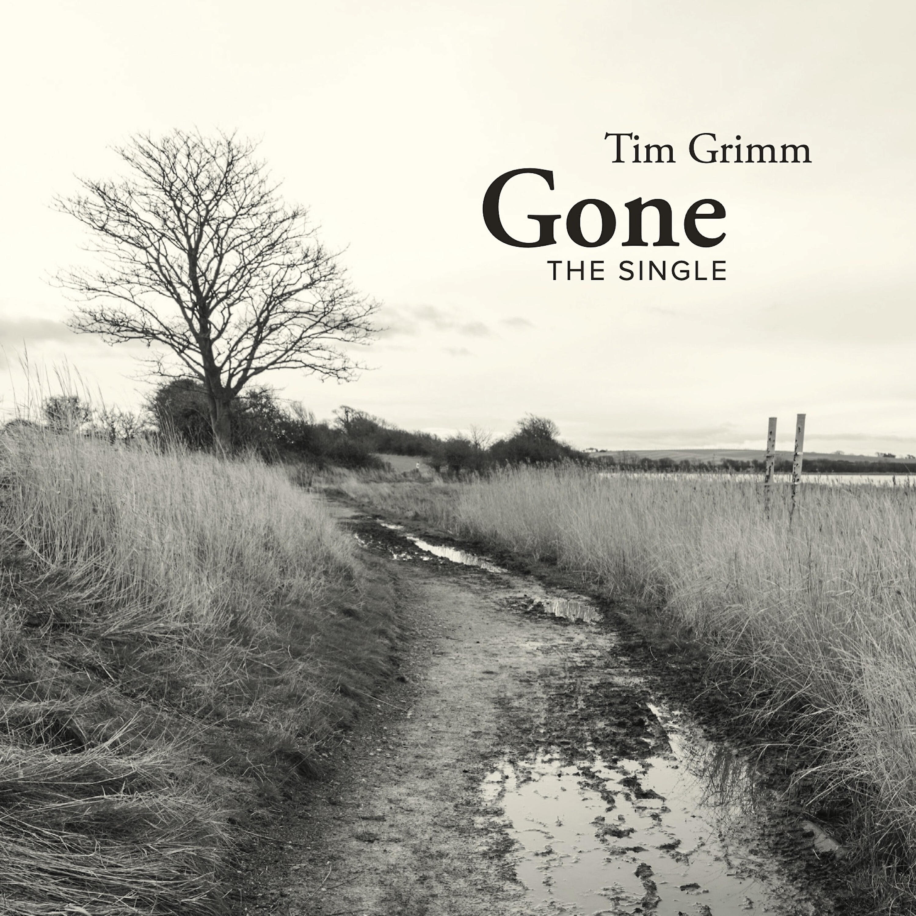 Релиз Gone