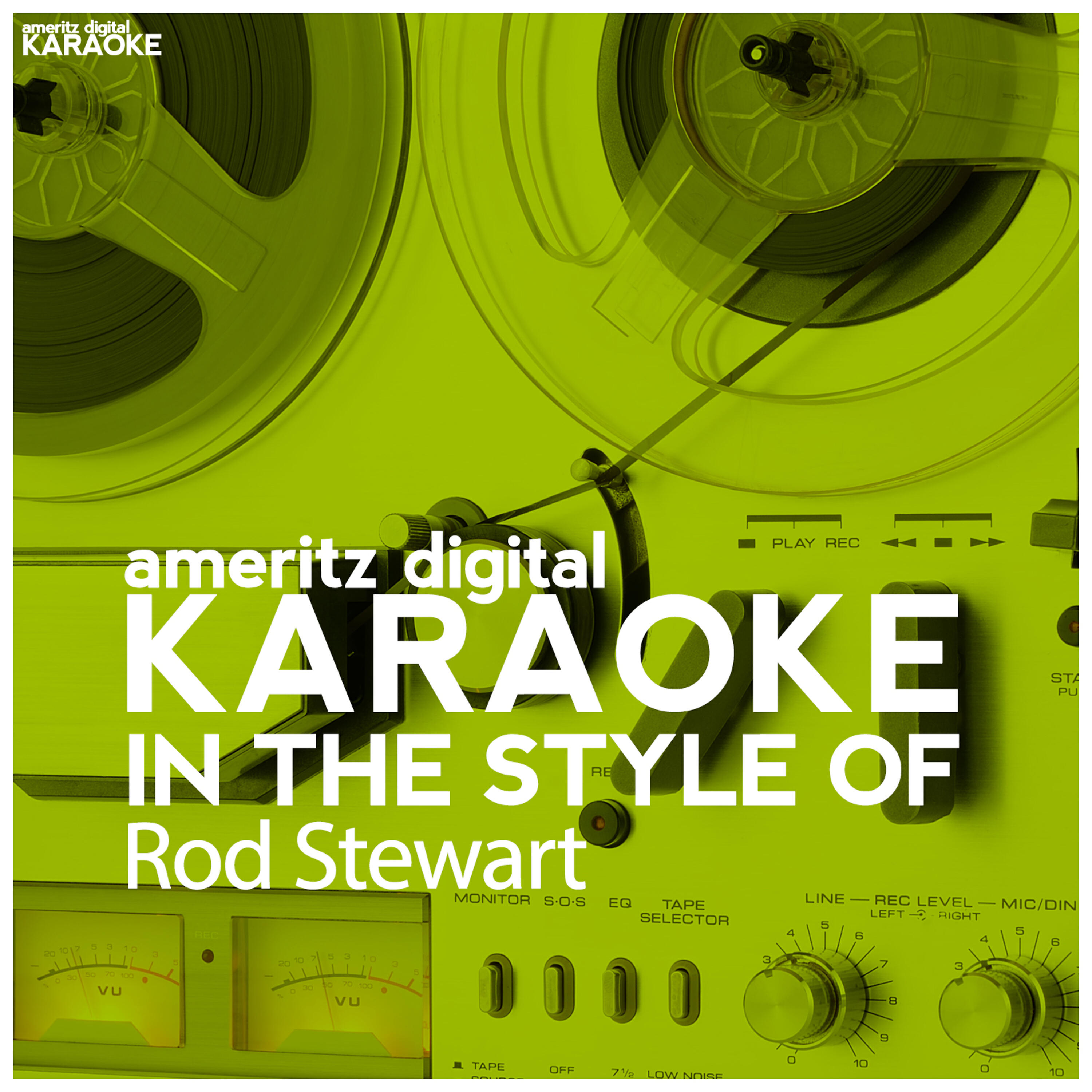 Постер альбома Karaoke (In the Style of Rod Stewart)
