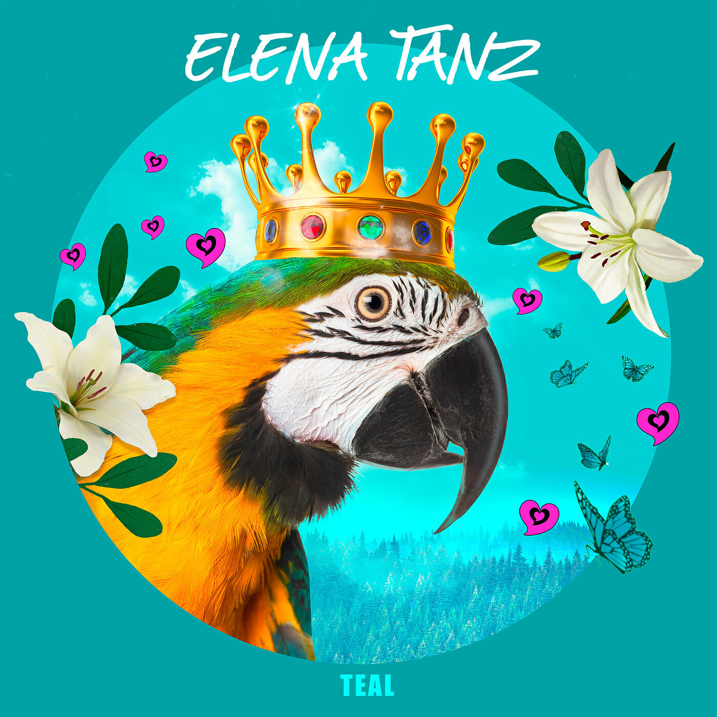 Релиз Teal