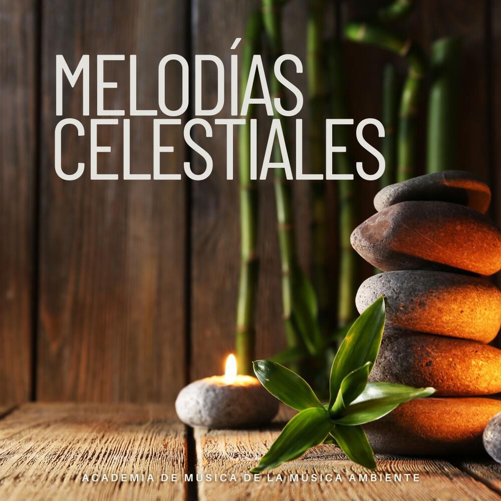 Релиз Melodías Celestiales: Música de Meditación Pacífica