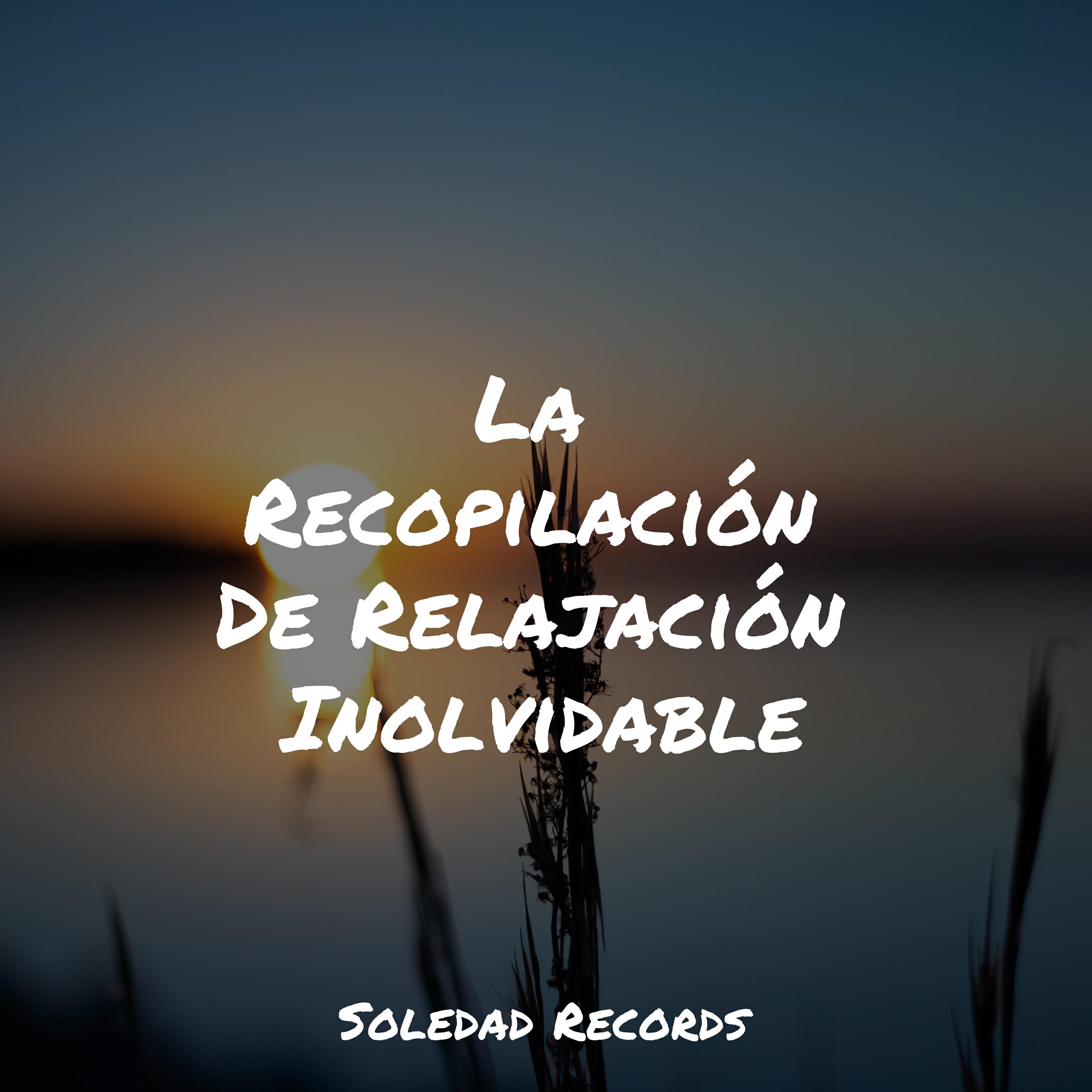 Релиз La Recopilación De Relajación Inolvidable