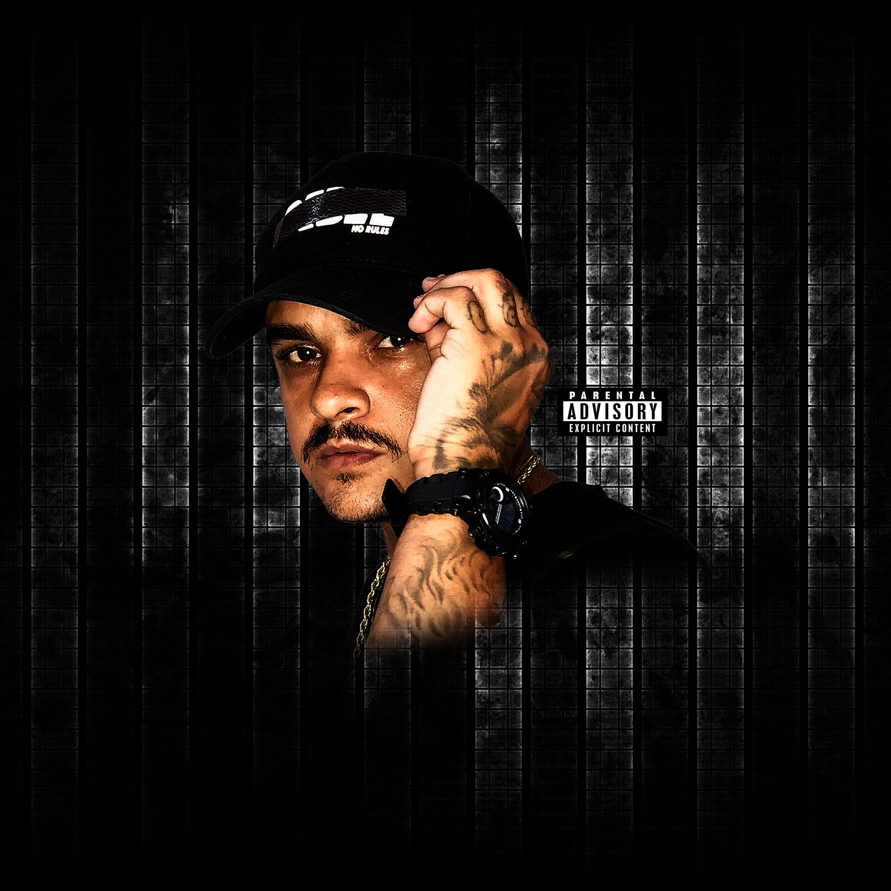 Альбом Pit Bull de Raça исполнителя DJ Vinicinho da Penha, MC PQD