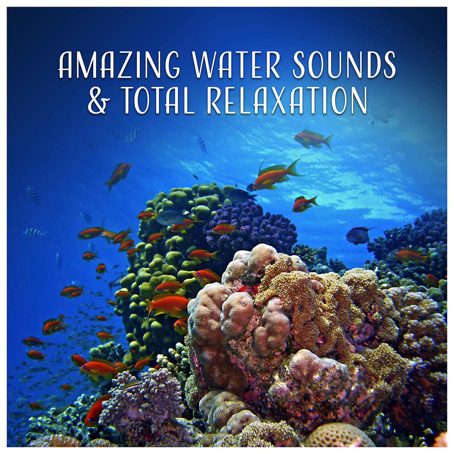 Релиз Amazing Water Sounds & Total Relaxation – Nature Music for Meditation, Spa, Massage, Sleep & Yoga, Ocean Waves, Sea, Rain