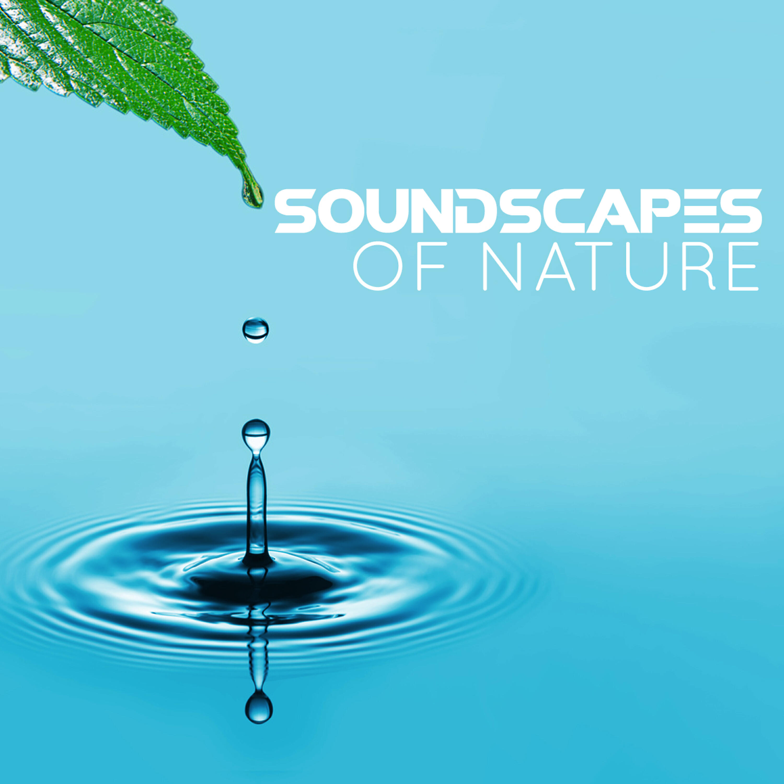 Релиз Soundscapes of Nature