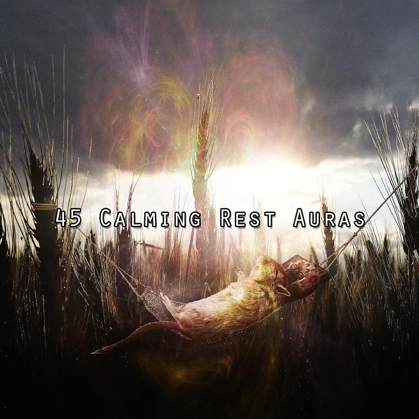 Релиз 45 Calming Rest Auras